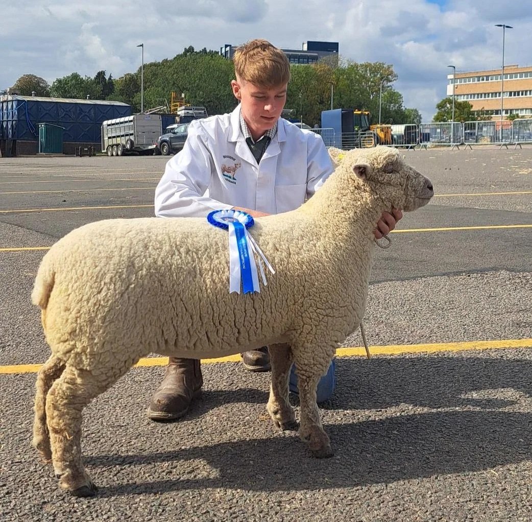 Harry Morton - Reserve Champion, Young Breeder