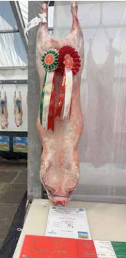 royal welsh winter fair.png