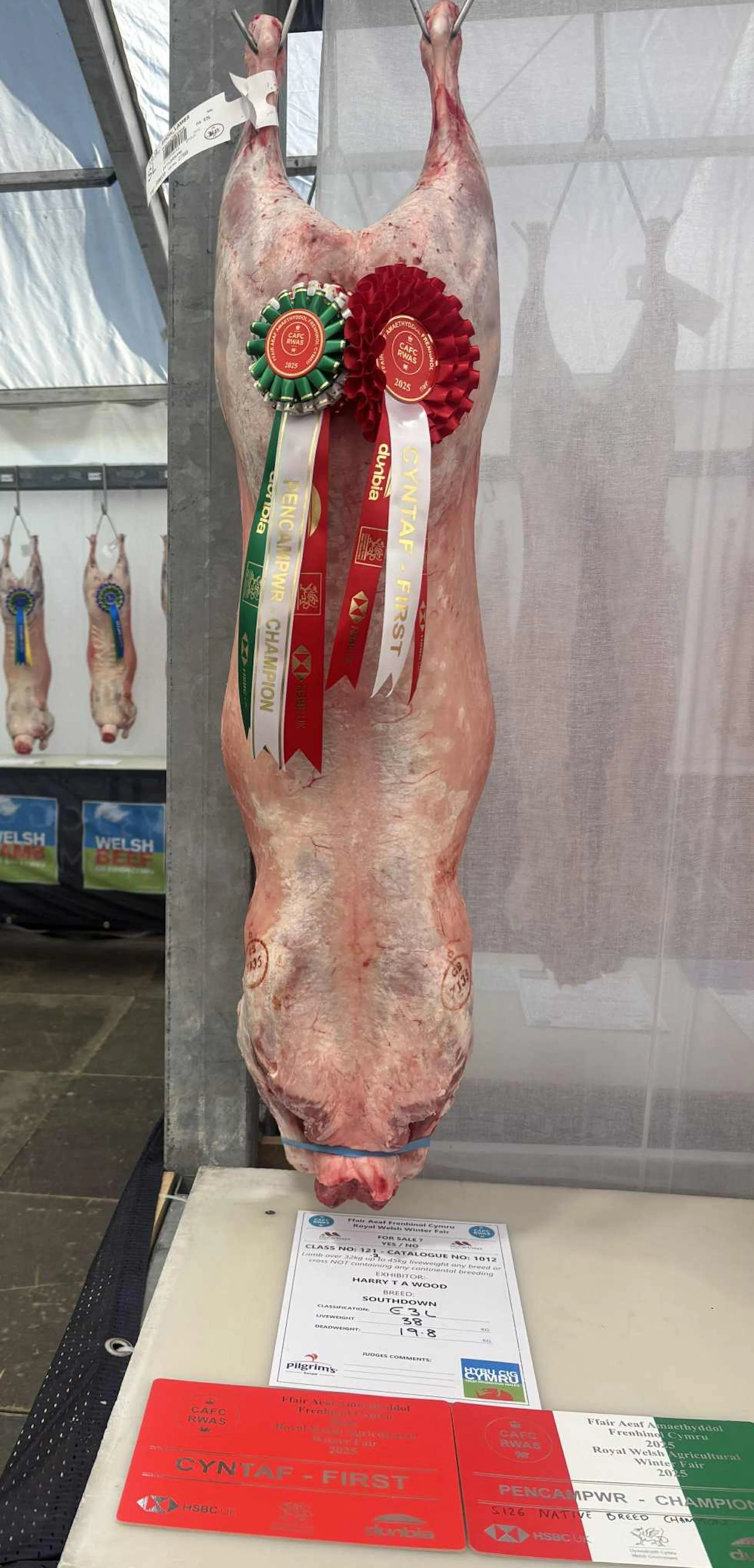 HW RWWF carcass 25 RWAS.jpg