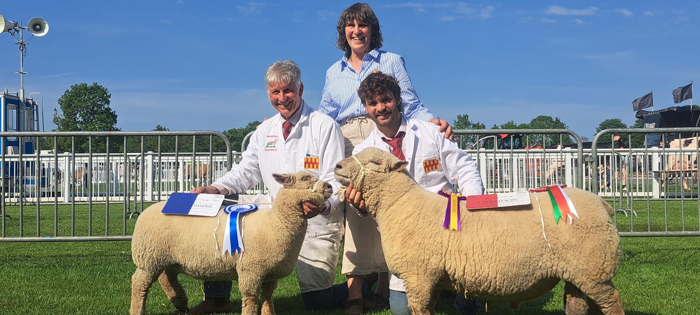 2026_National_Southdown_Show_-_champion_and_reserve_champion[1].jpg
