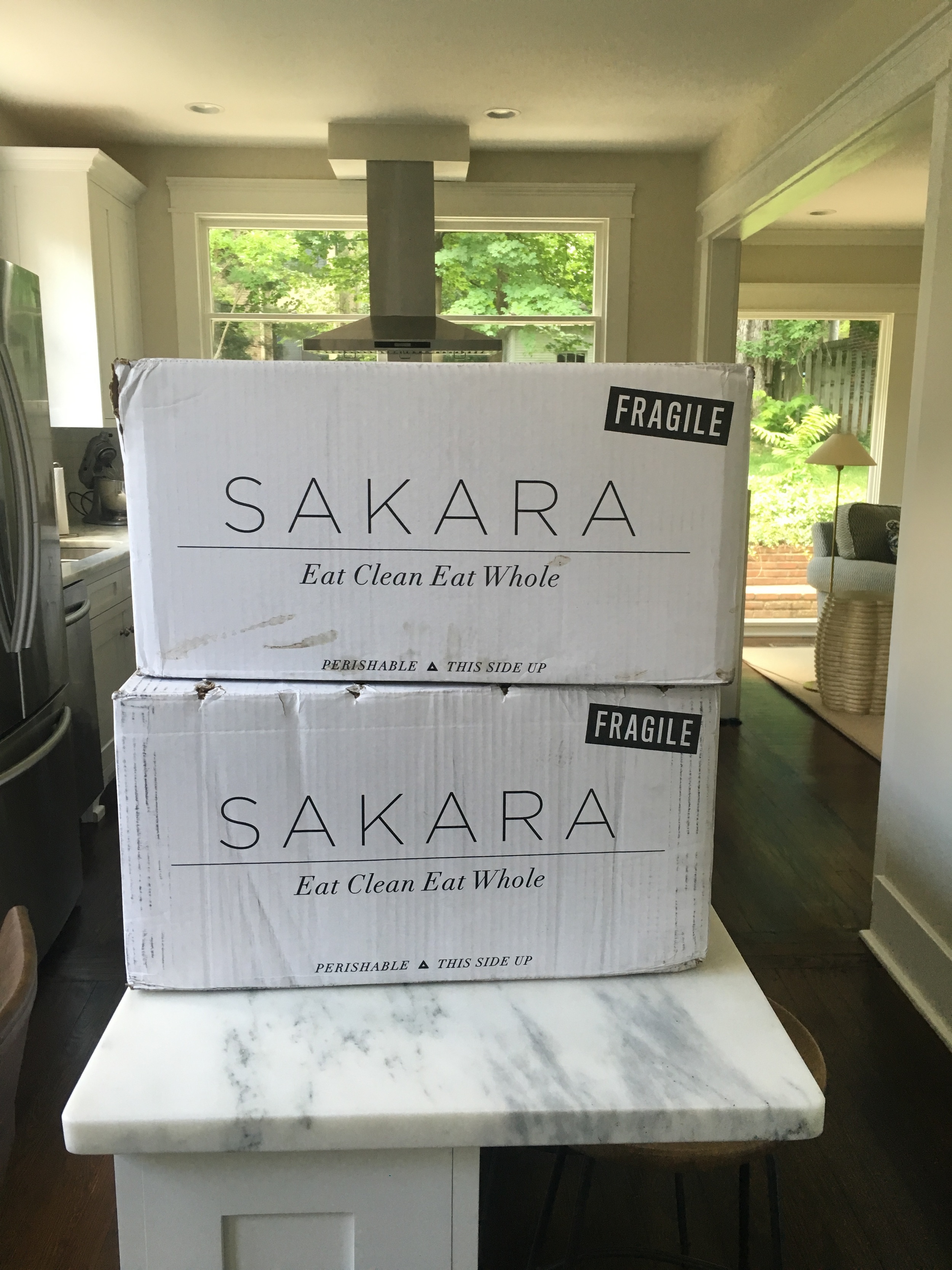 The meals came packed perfectly, organized and intact with plenty of reusable ice packs