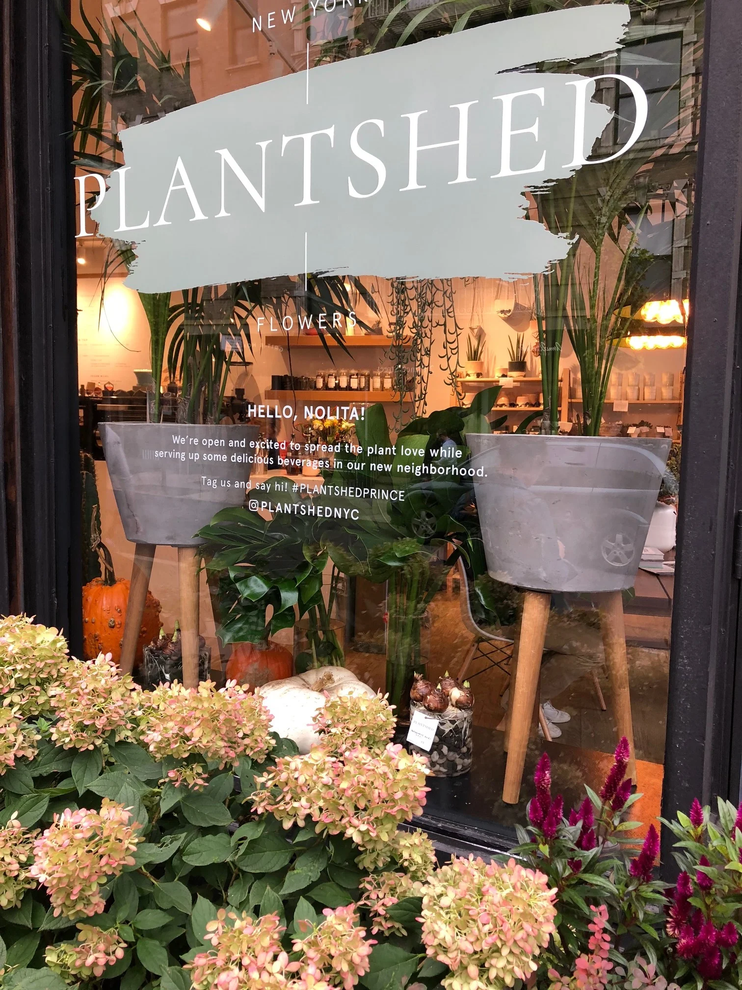 “Spread the plant love.” I fully support this mission.