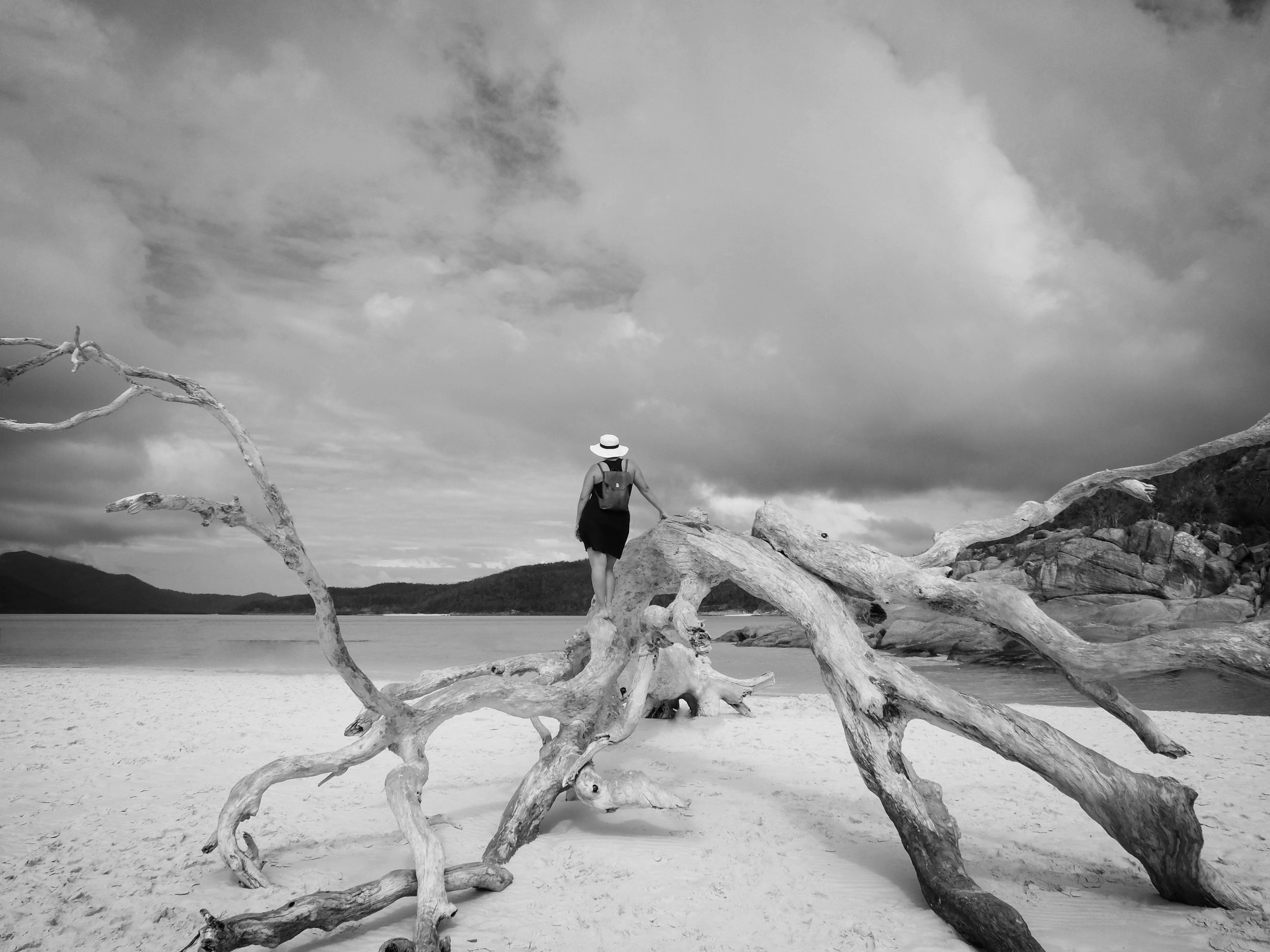 hh edit - standing on branch.jpg