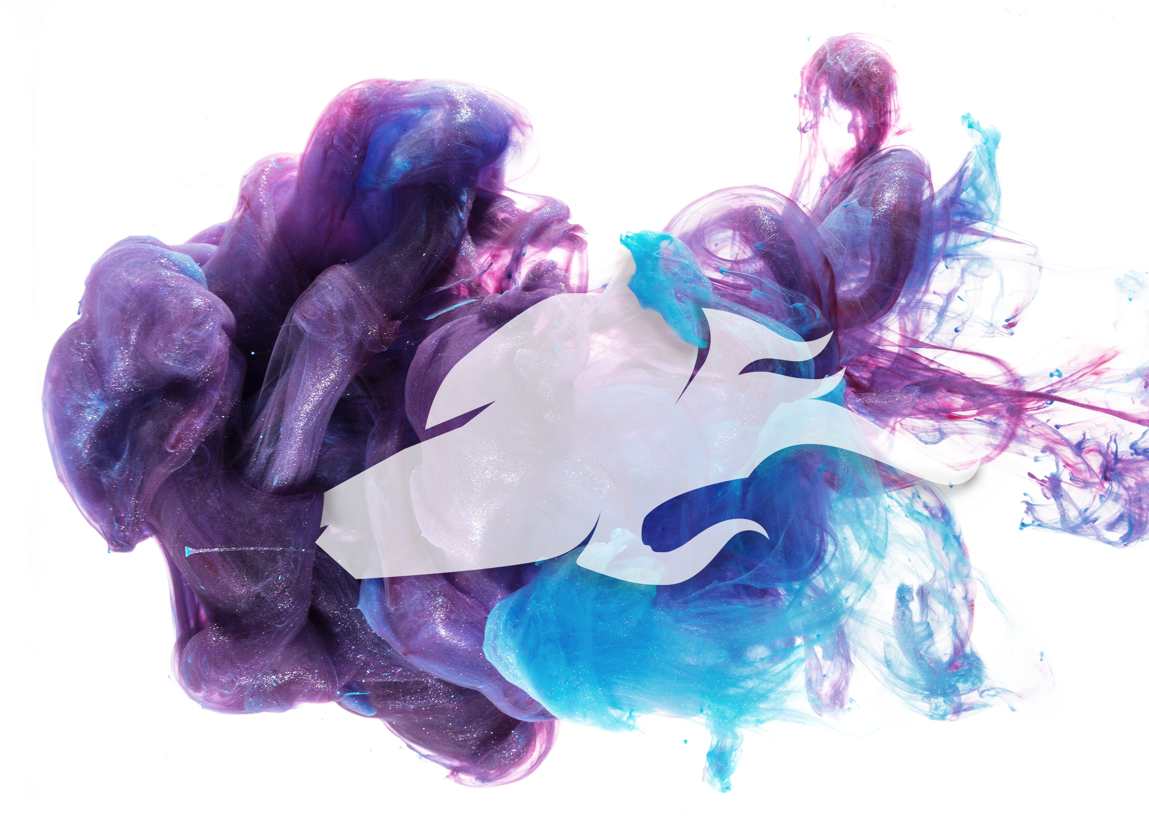 header image 2.png