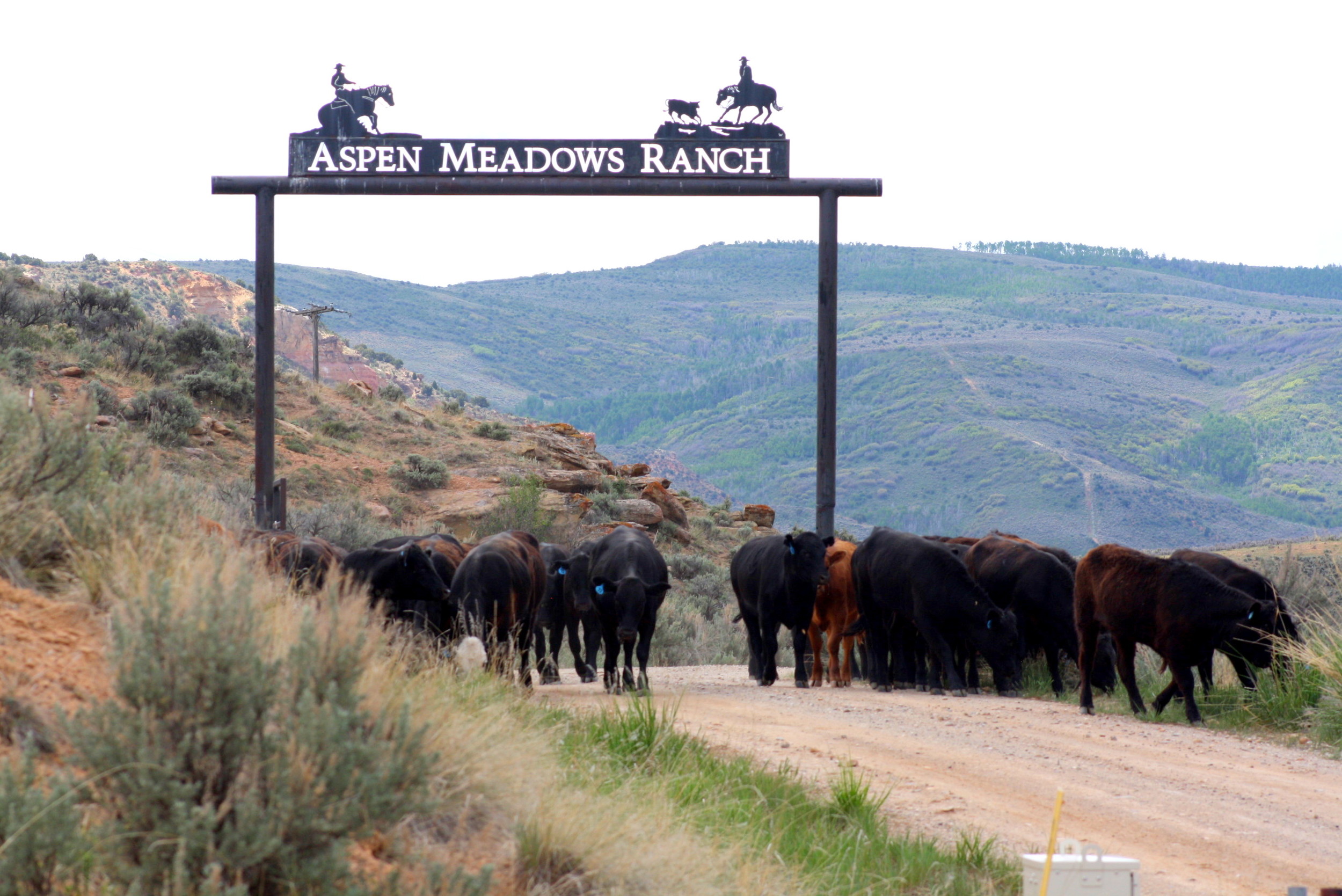 aspen meadows archway.jpg