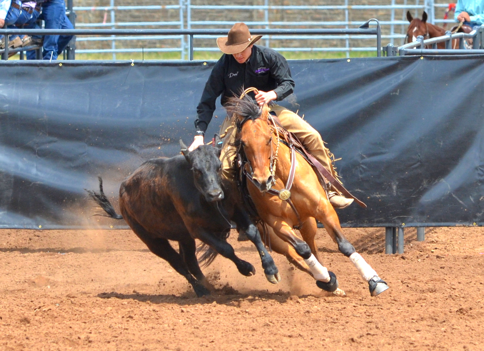 daniel cowhorse state finals.jpg