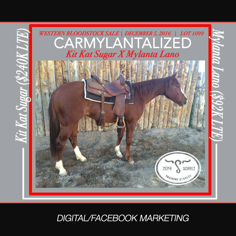 ZS-Carmyl-for-Web.png