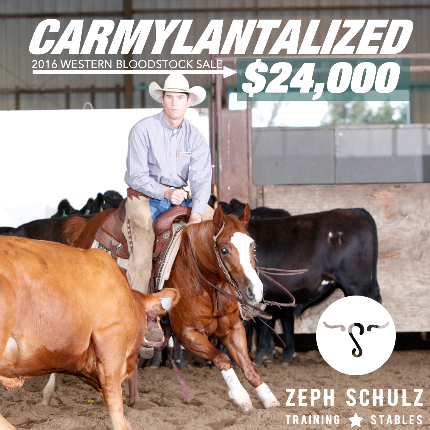 ZS-Carmyl-for-Sales-Web.png
