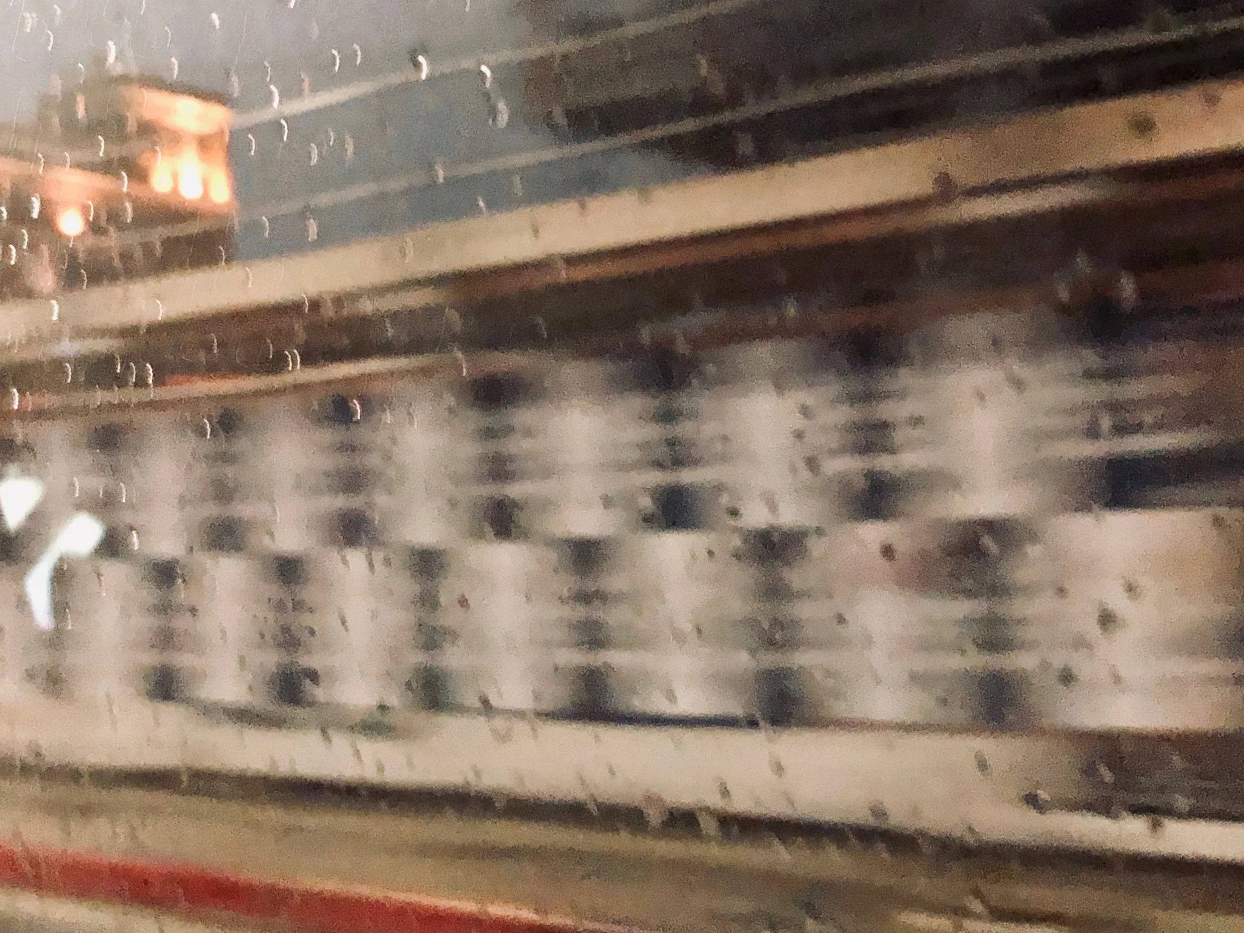  Searching for Food 2, 2018 