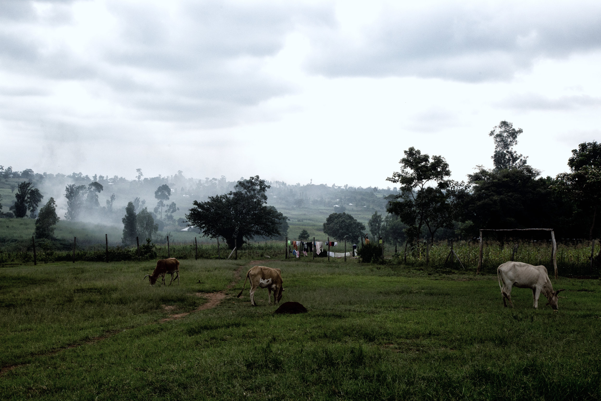 2017-04-28-kenya edit-7.jpg