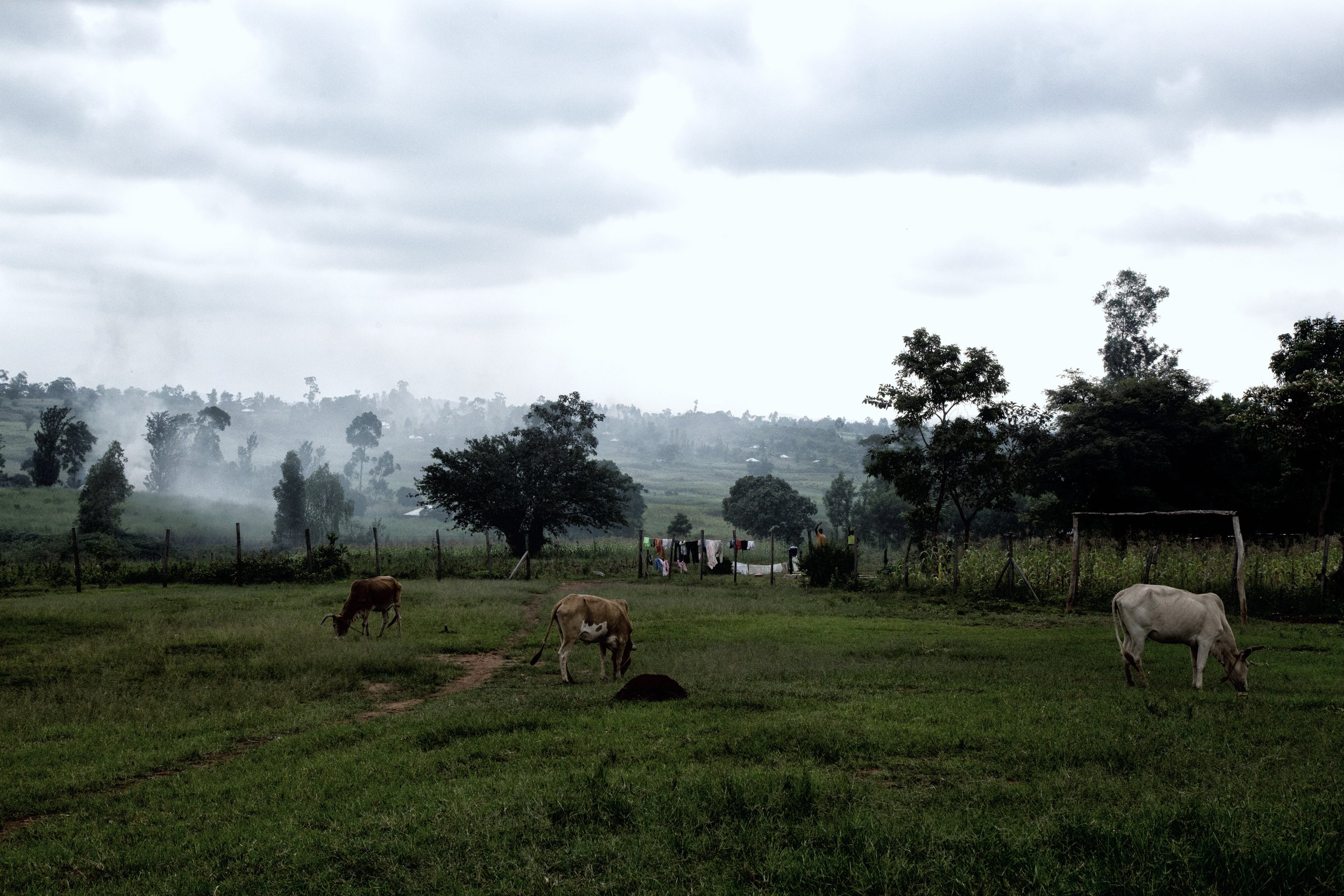 2017-04-28-kenya edit-7.jpg