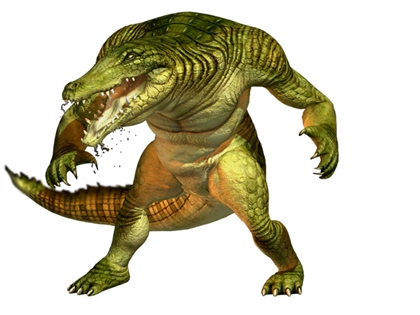 gator.jpeg