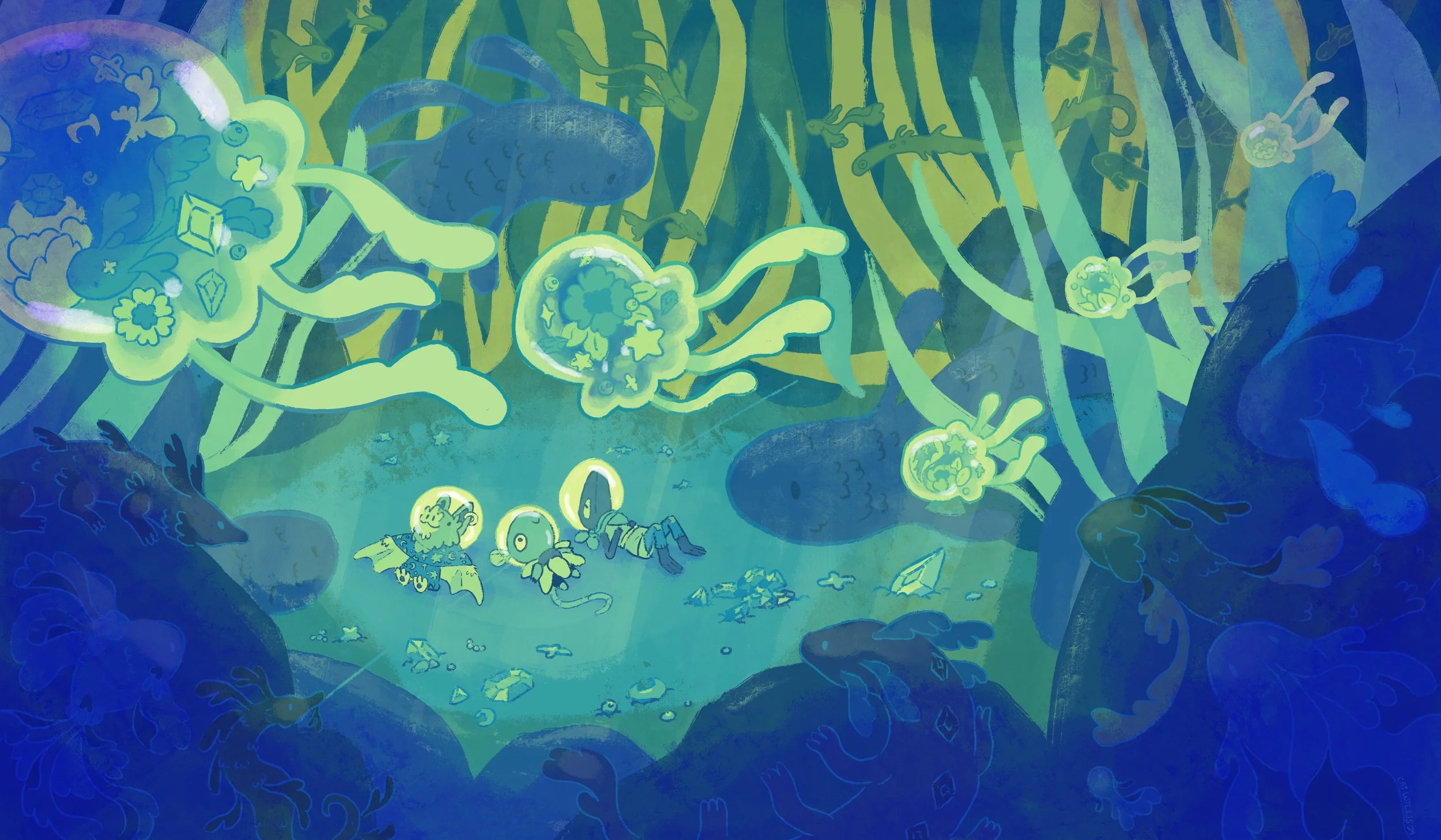 Jellyfish Explorers