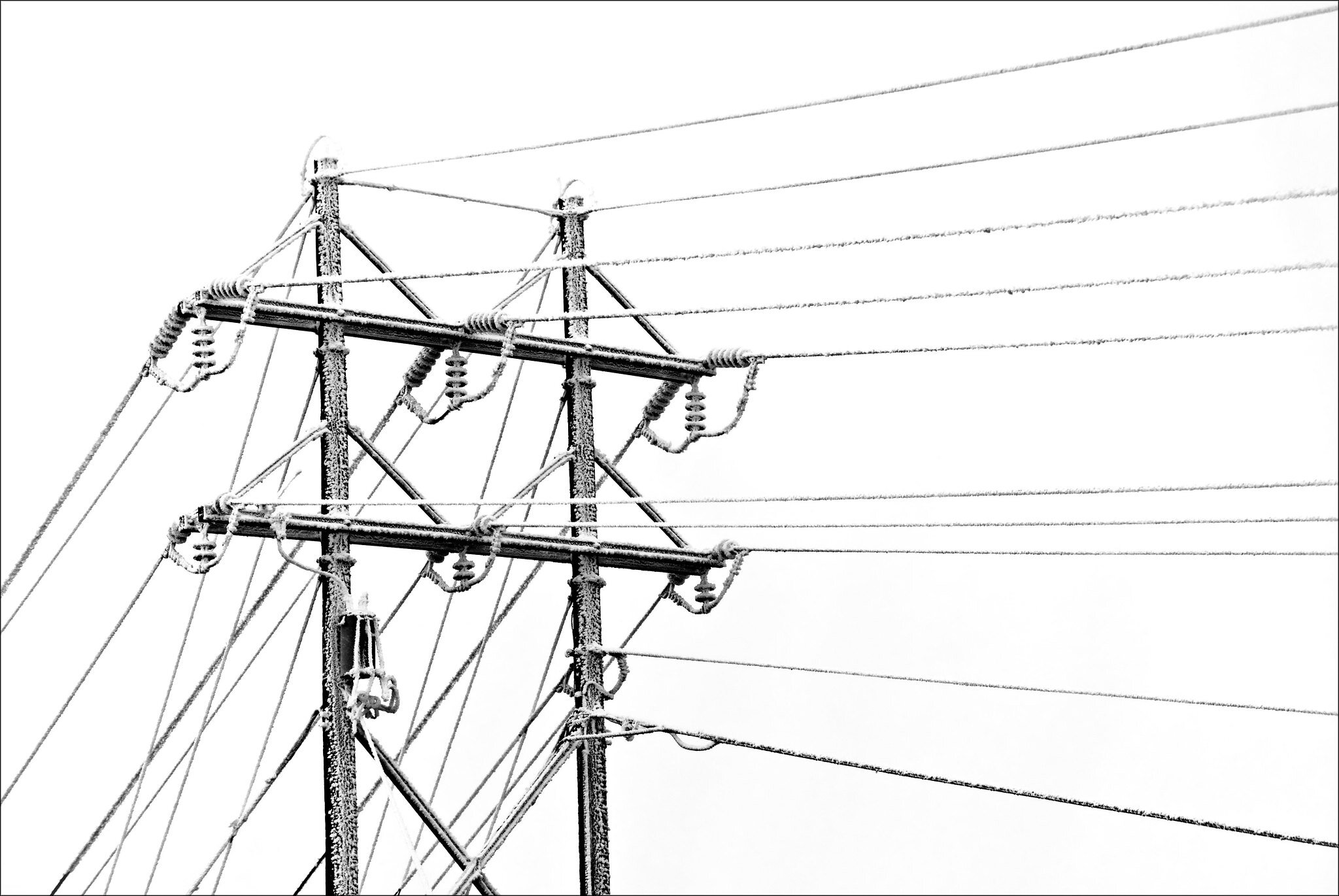 Photo by Normality Relief