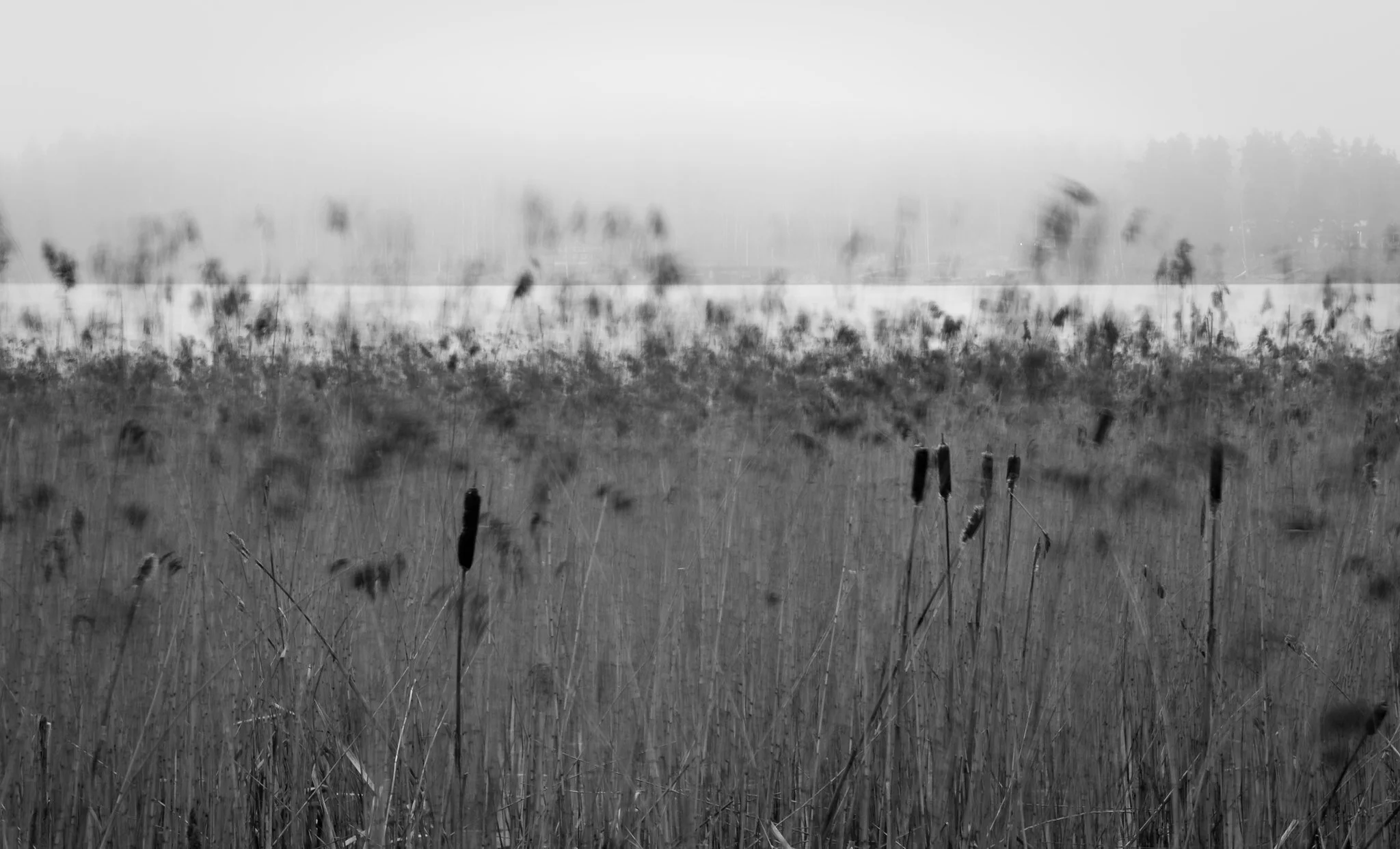 Photo by Alakulo