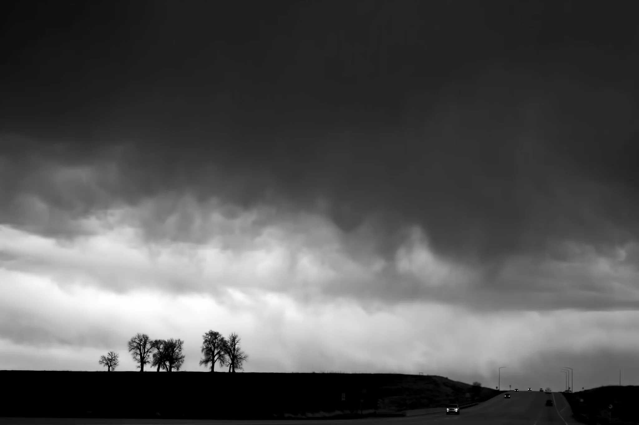 Photo by Paul L Dineen