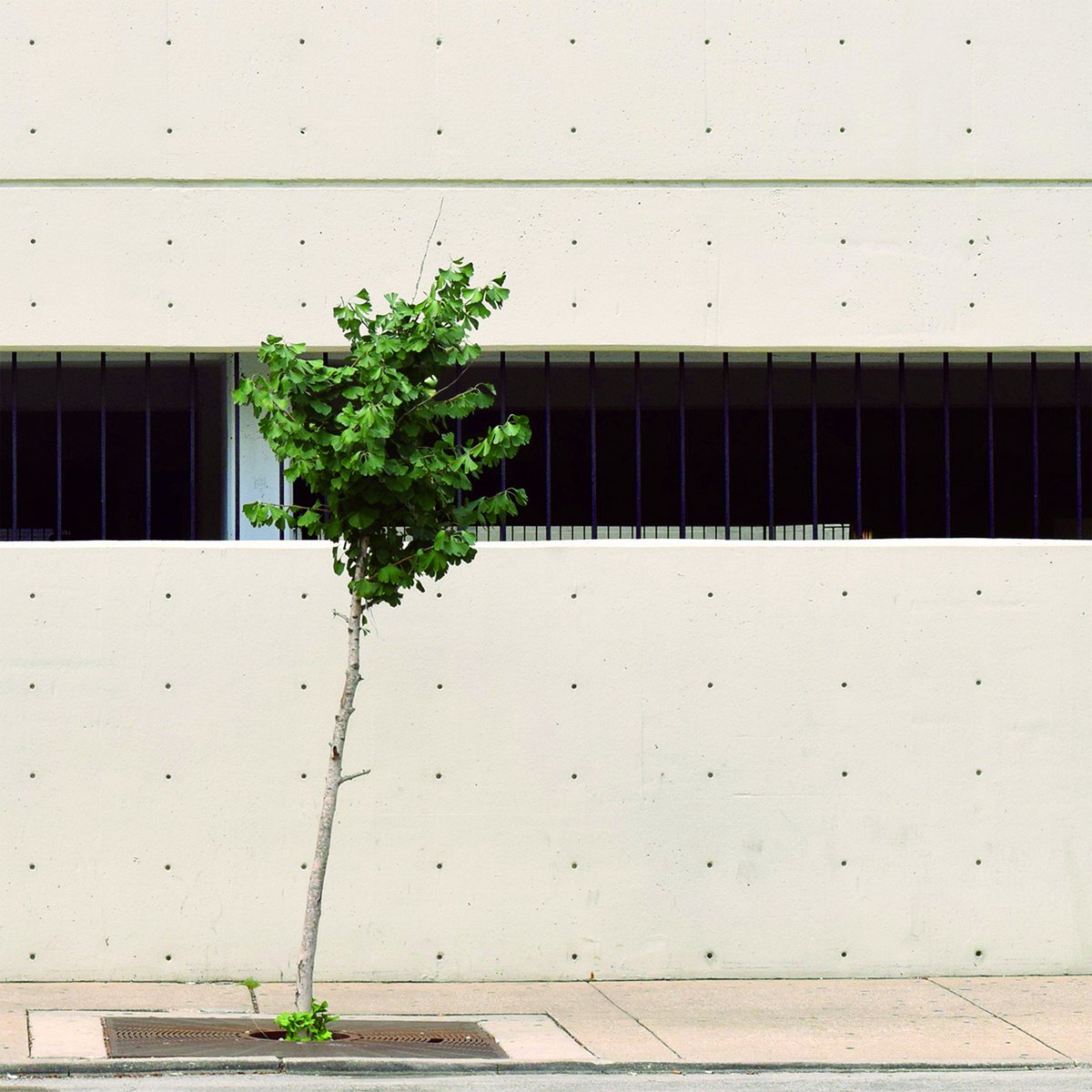 M. Sage & Beth McDonald - Who Still Feels Irrational Things Within Her (2021.10.15)