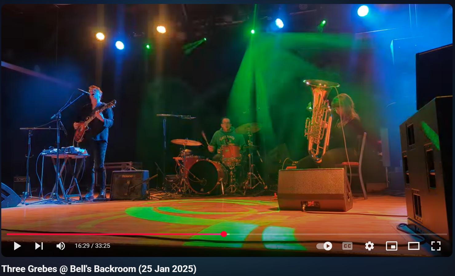 Three Grebes in Kalamazoo (2025.01.25)