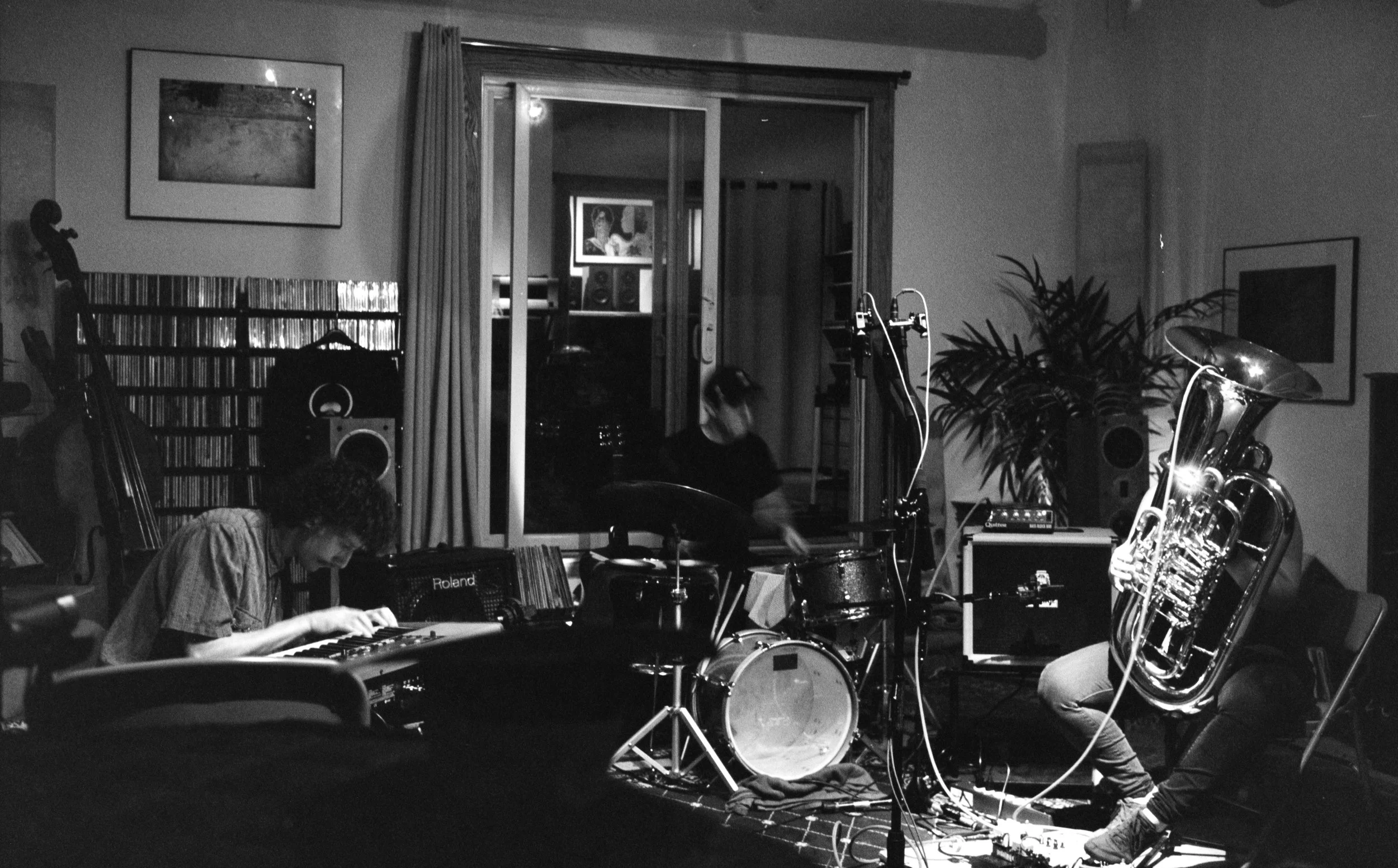 2024 Three Grebes at Brass Fest Kzoo I