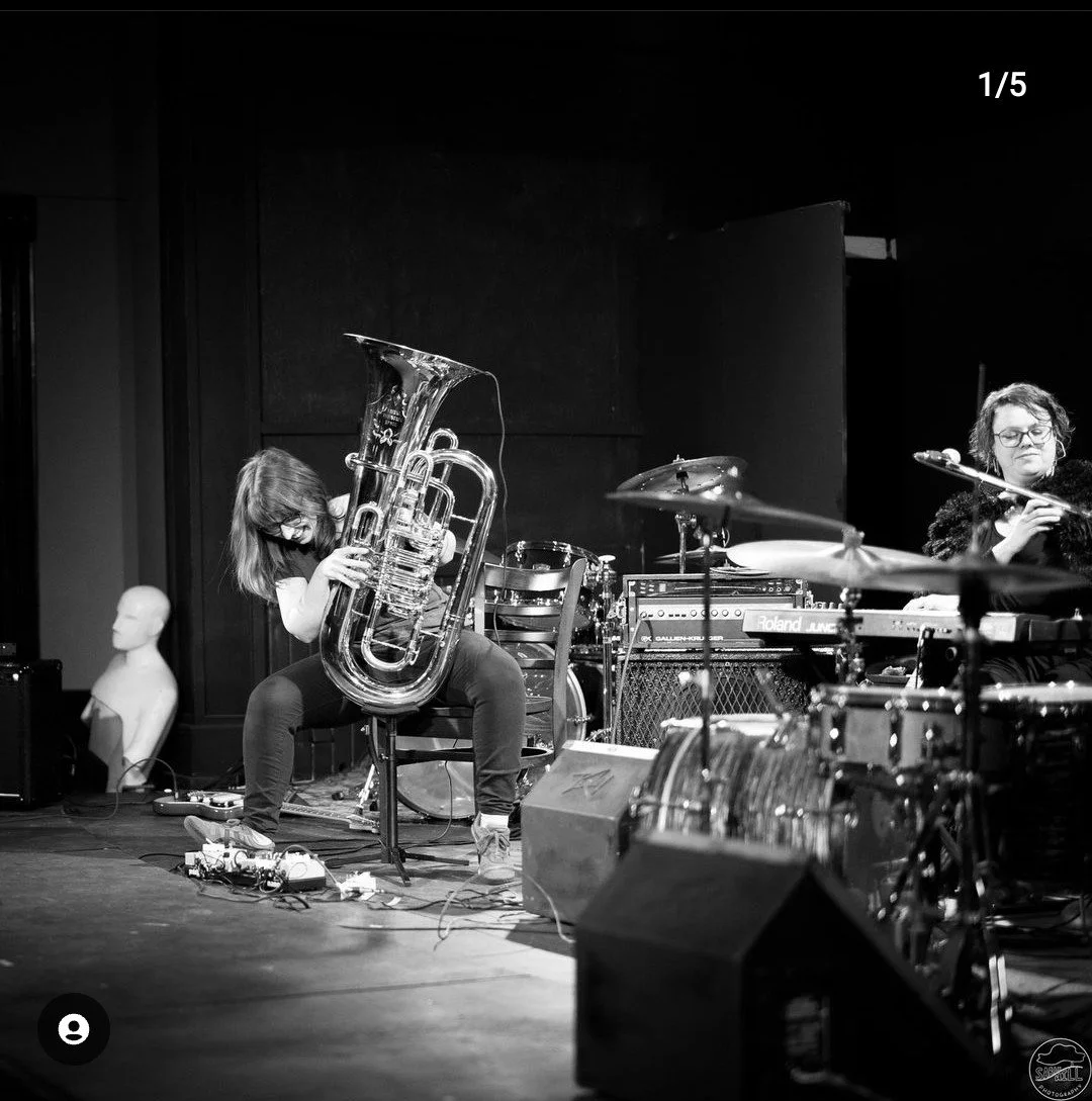 2023 Proto-Three Grebes in Kzoo