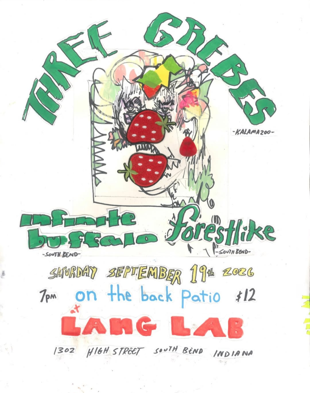 Three Grebes w/ forestlike &amp; Infinite Buffalo @ Lang Lab (South Bend, IN)