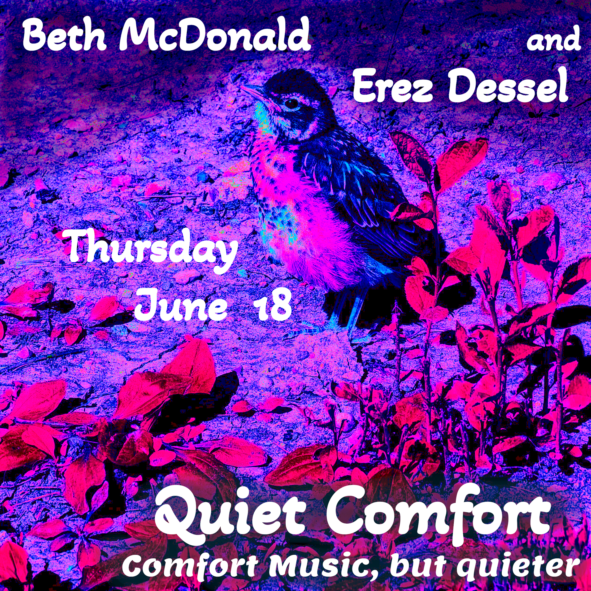 QUIET COMFORT: Dessel+McDonald @ Comfort Station (Chicago)