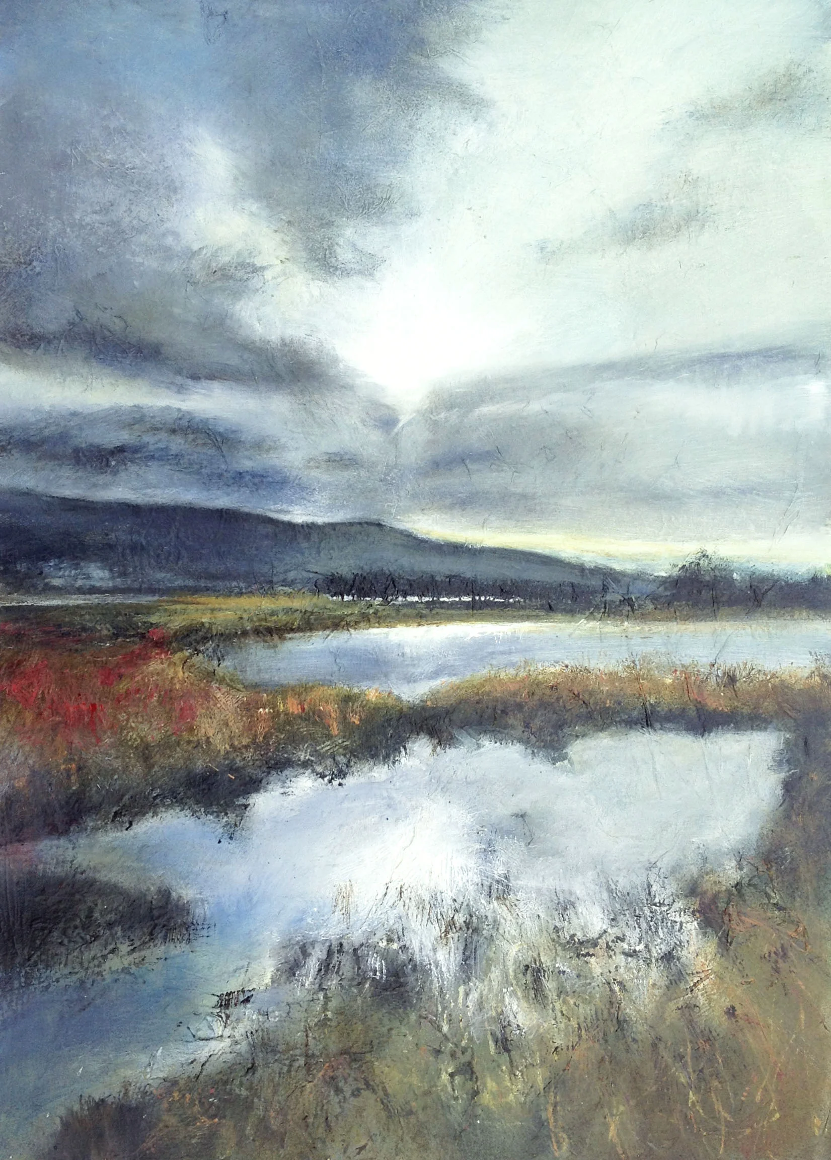 Gyra Winter