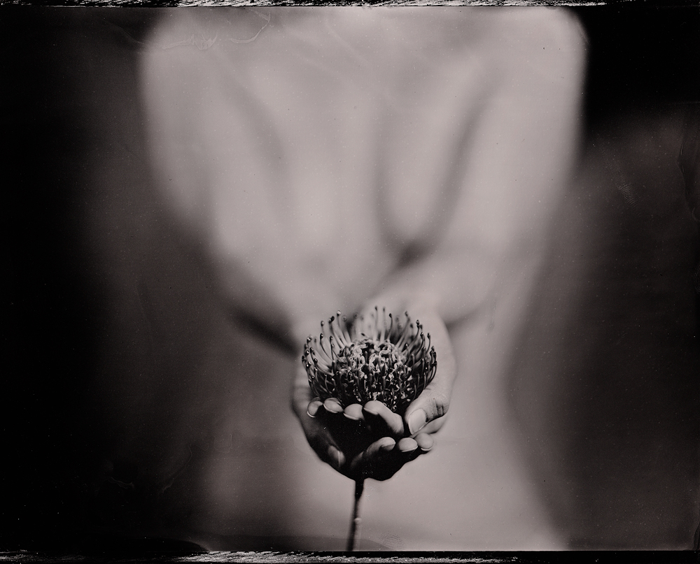 LIK Akademie für Foto und Design Wochenpost 25/2015