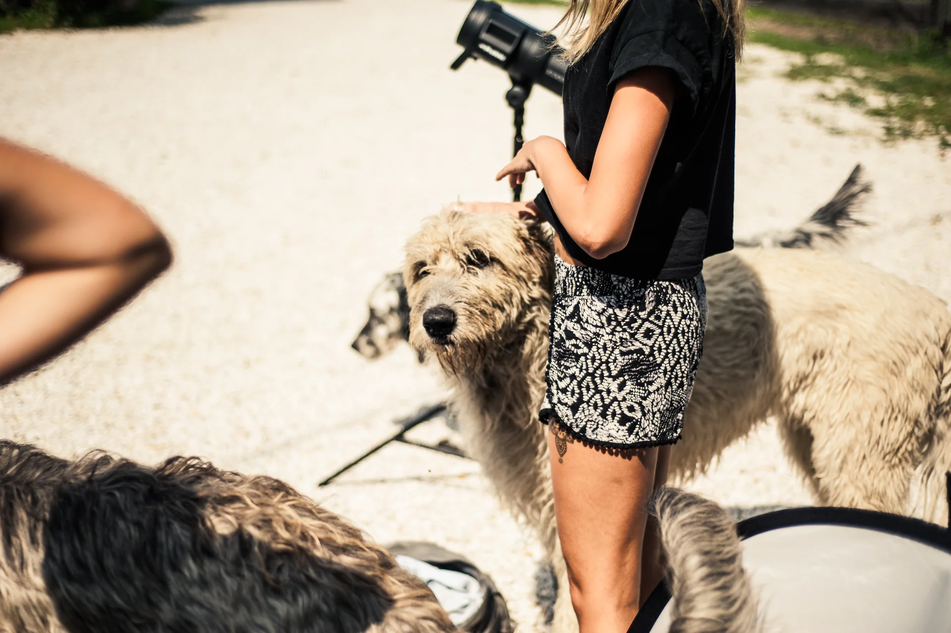 LIK Akademie Fotonews 12/2015