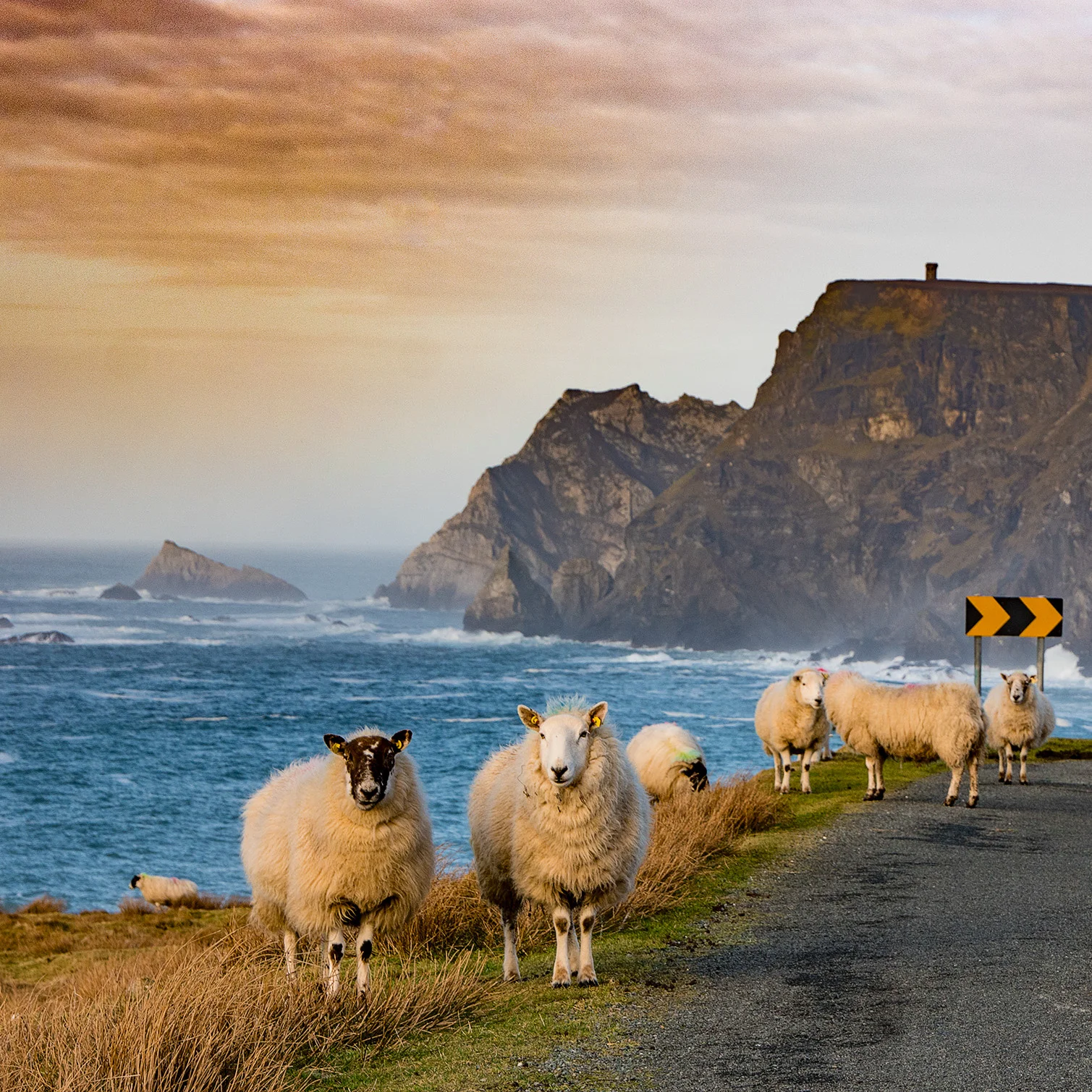 Landschaftsfotografie, Fotobearbeitung, Fine Art Printing beim LIK Fotoevent im nordirischen Schloss.