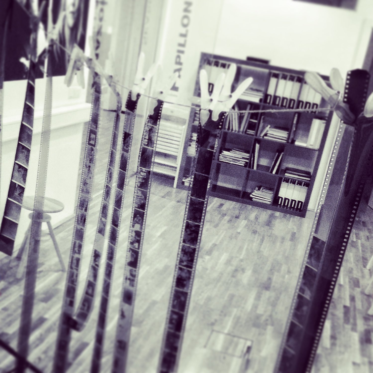 Analoge 4x5 Inch Grossformatfotografie Kurs Der Lik Sommerakademie Fotografie Wien