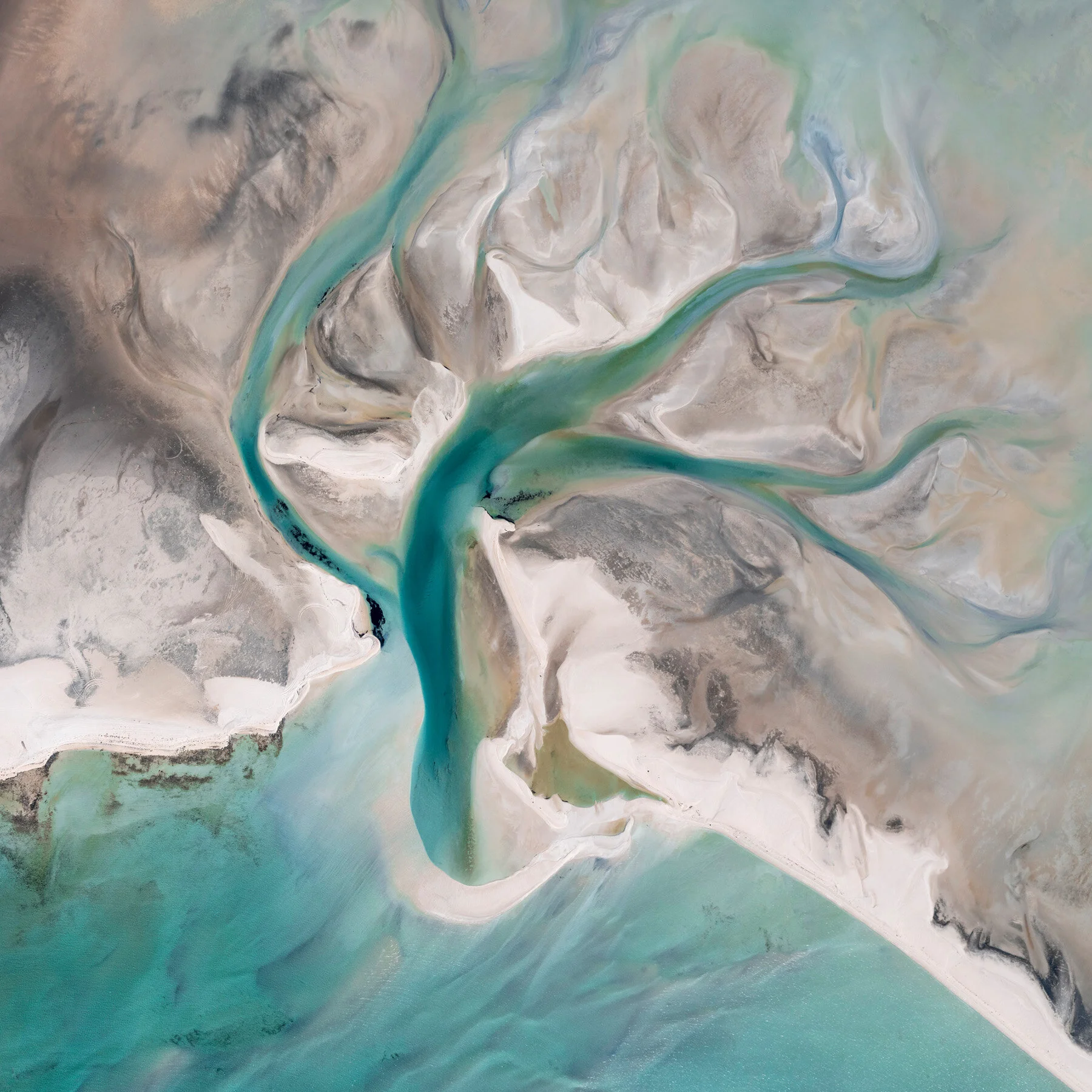 Our World - the Beauty of Nature: Die Nominierten sind veröffentlicht!