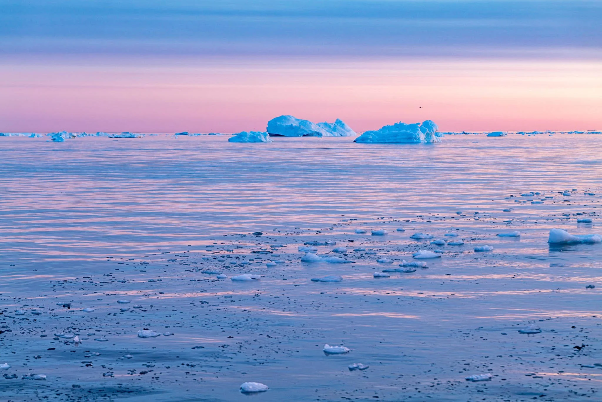 INTA Photo Award 2024 - die Sieger