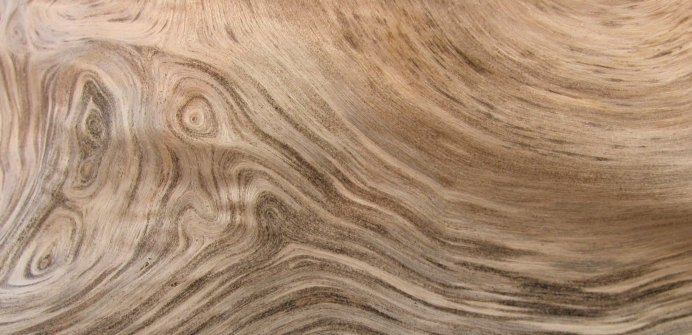 Residential_drift-tree-crotch_Edited.jpg