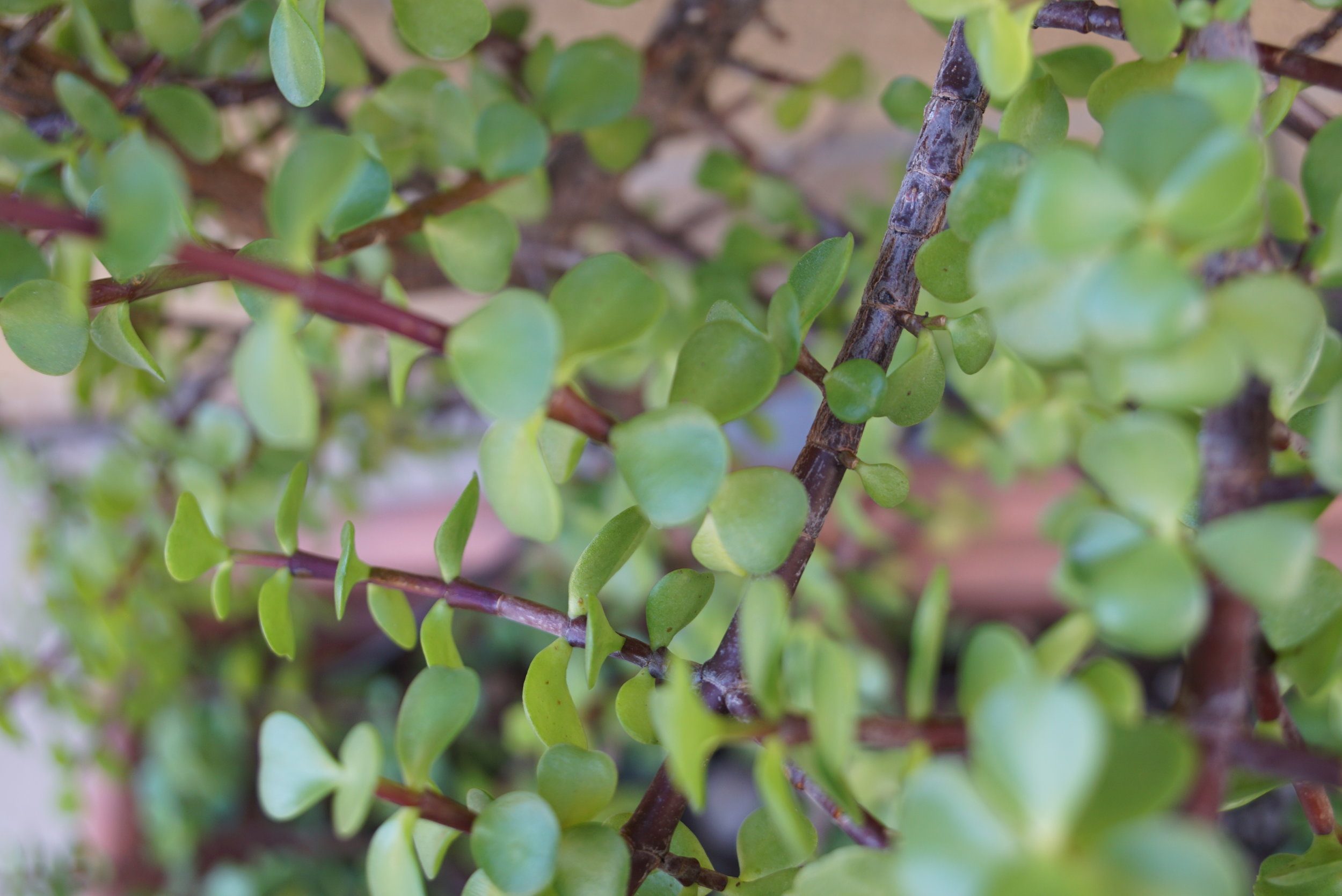 OurPhilosophy_NP-M 308.JPG