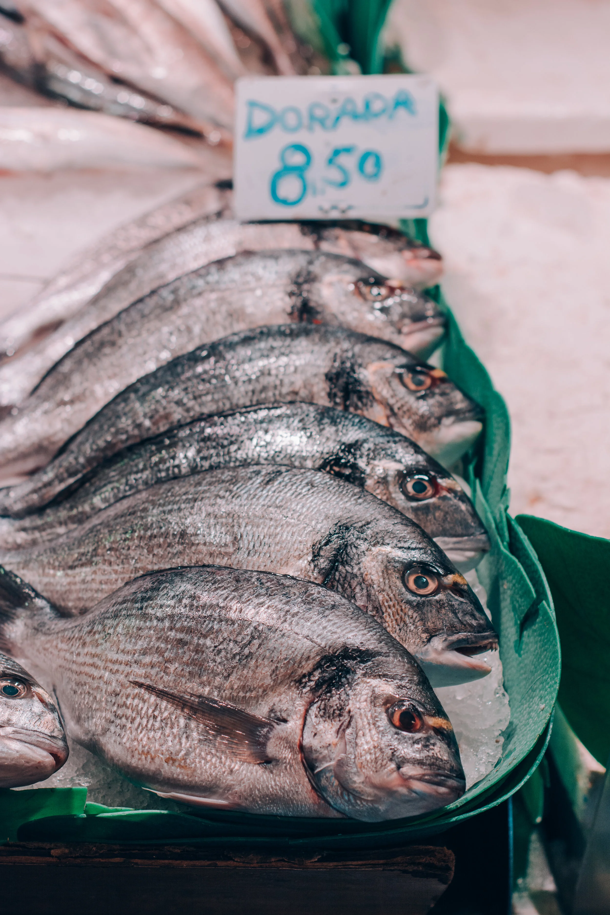 Barcelona.Tolchin Photo_038.jpg