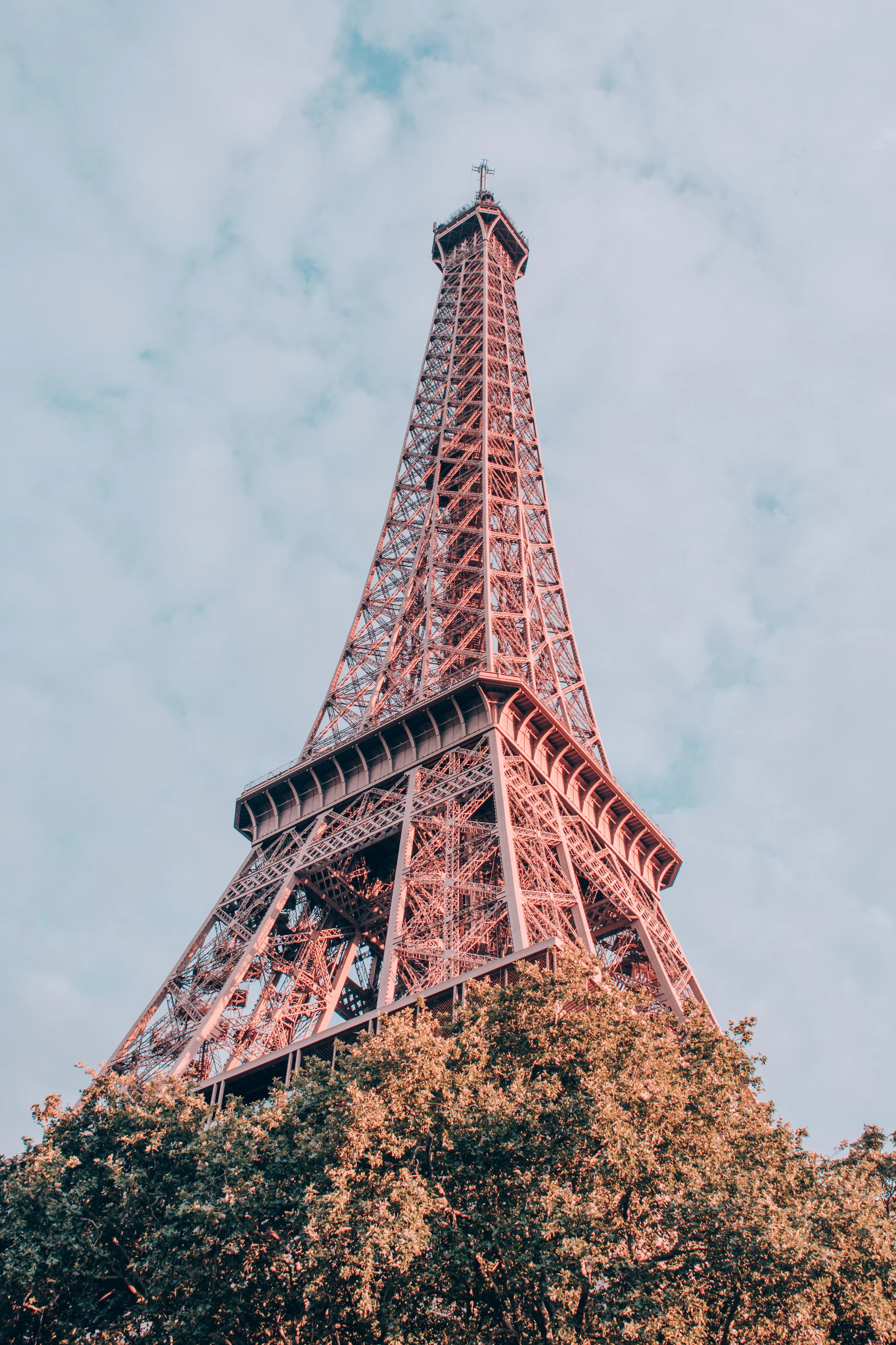 Paris.Tolchin Photo_001.jpg