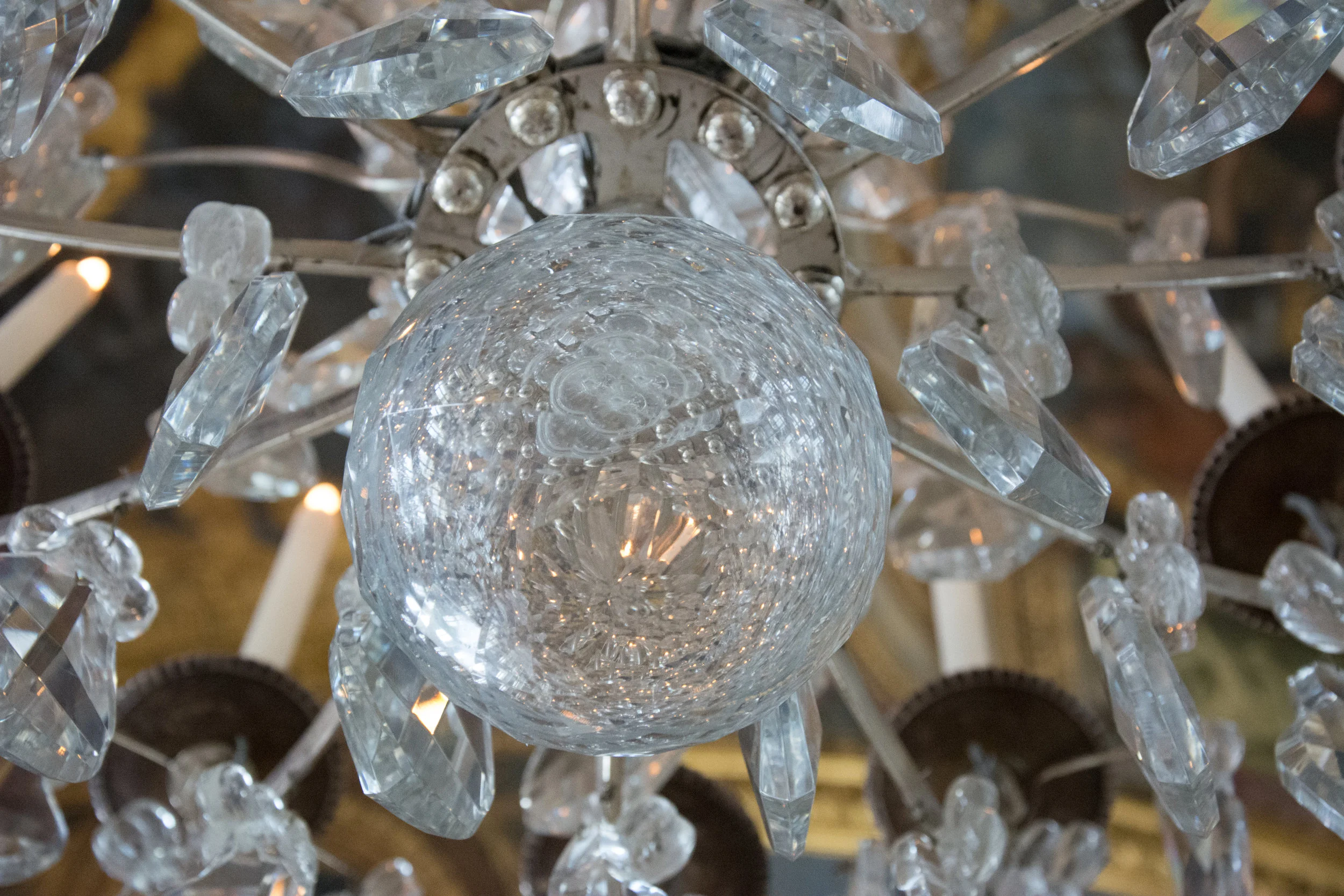 Paris.Tolchin Photo_018.jpg