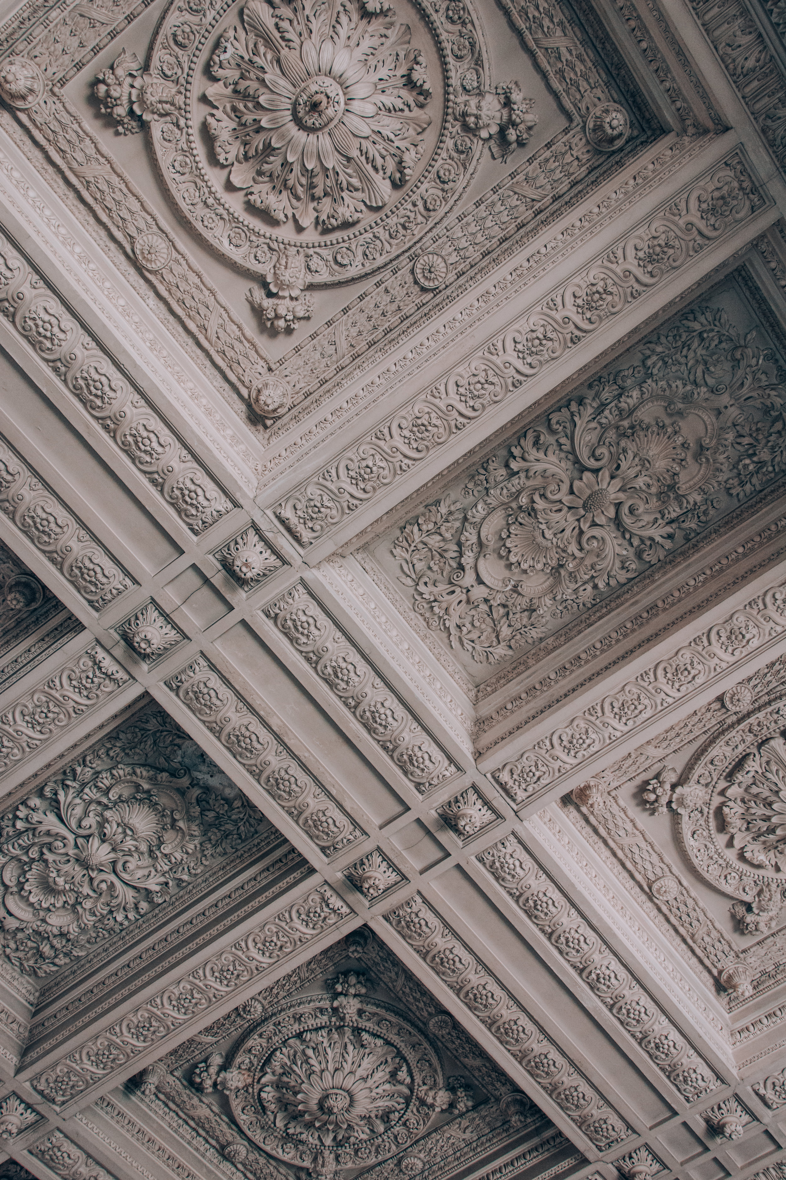 Paris.Tolchin Photo_019.jpg