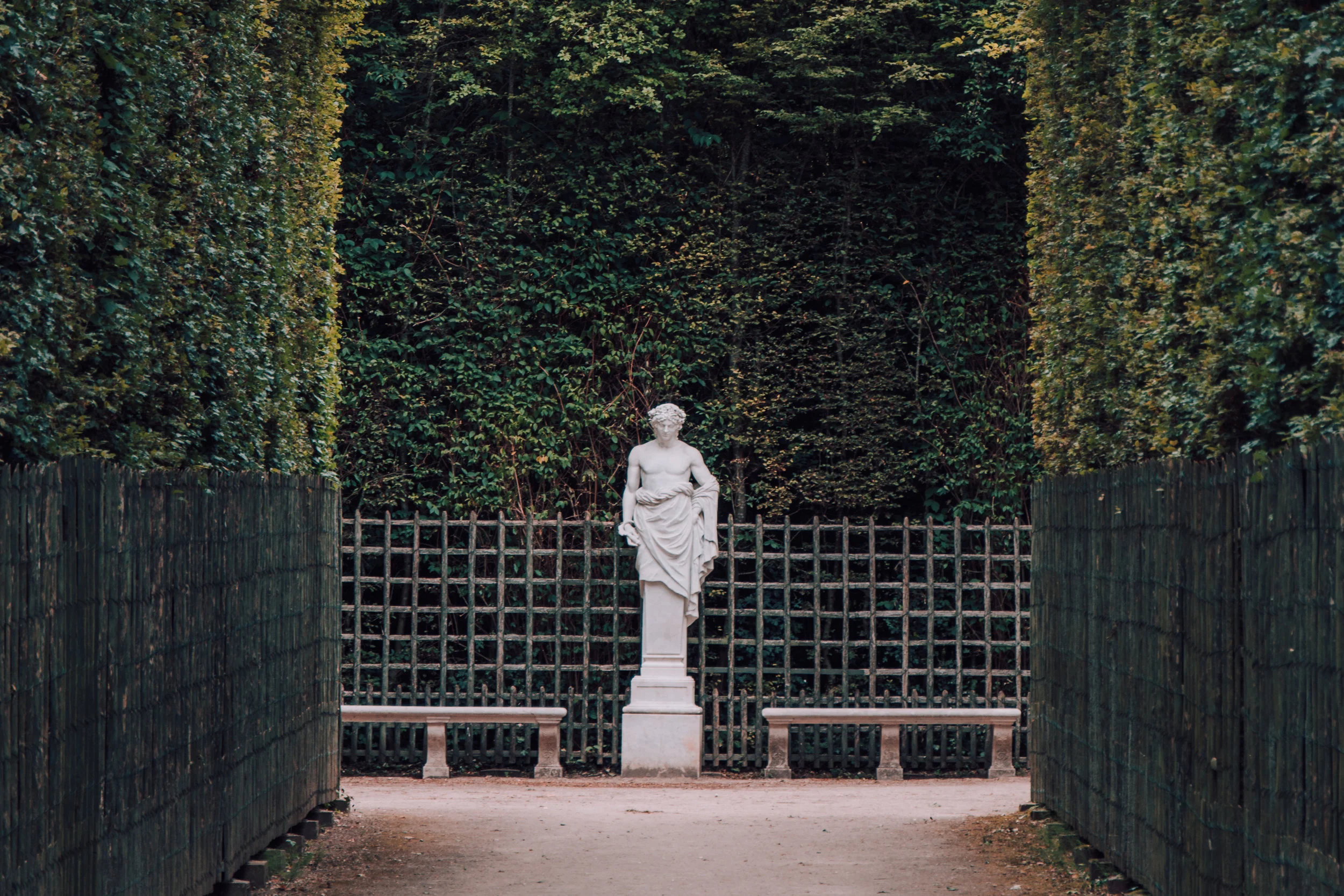 Paris.Tolchin Photo_025.jpg