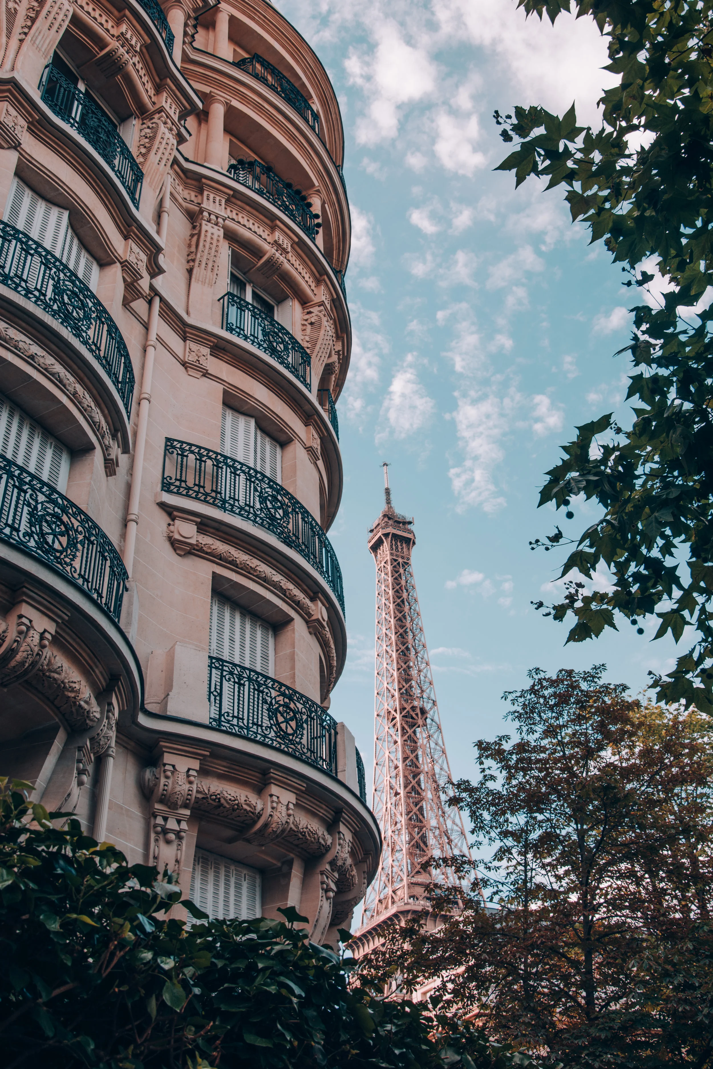 Paris.Tolchin Photo_026.jpg