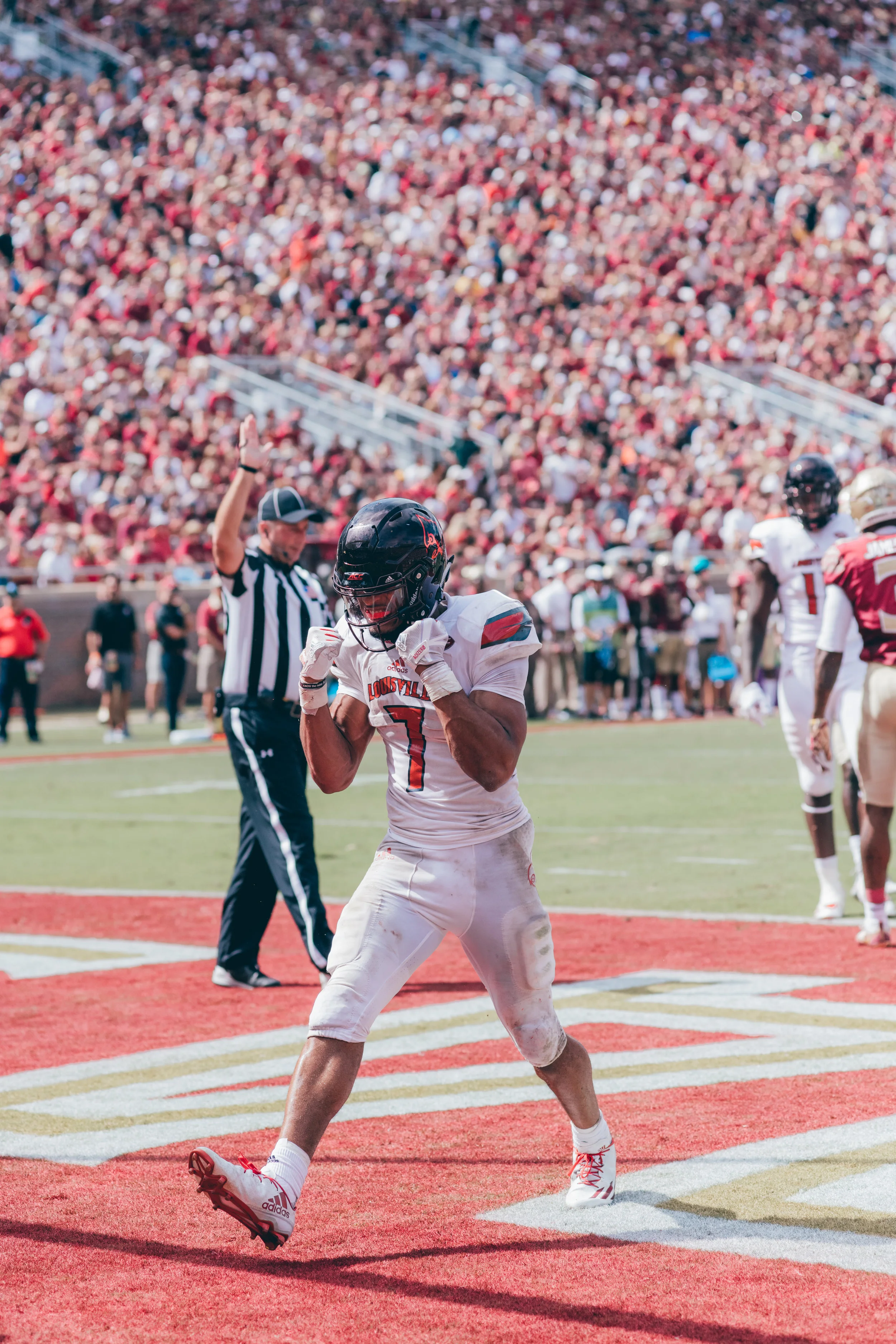 Sports.Football Photos.Tolchin Photo_011.jpg