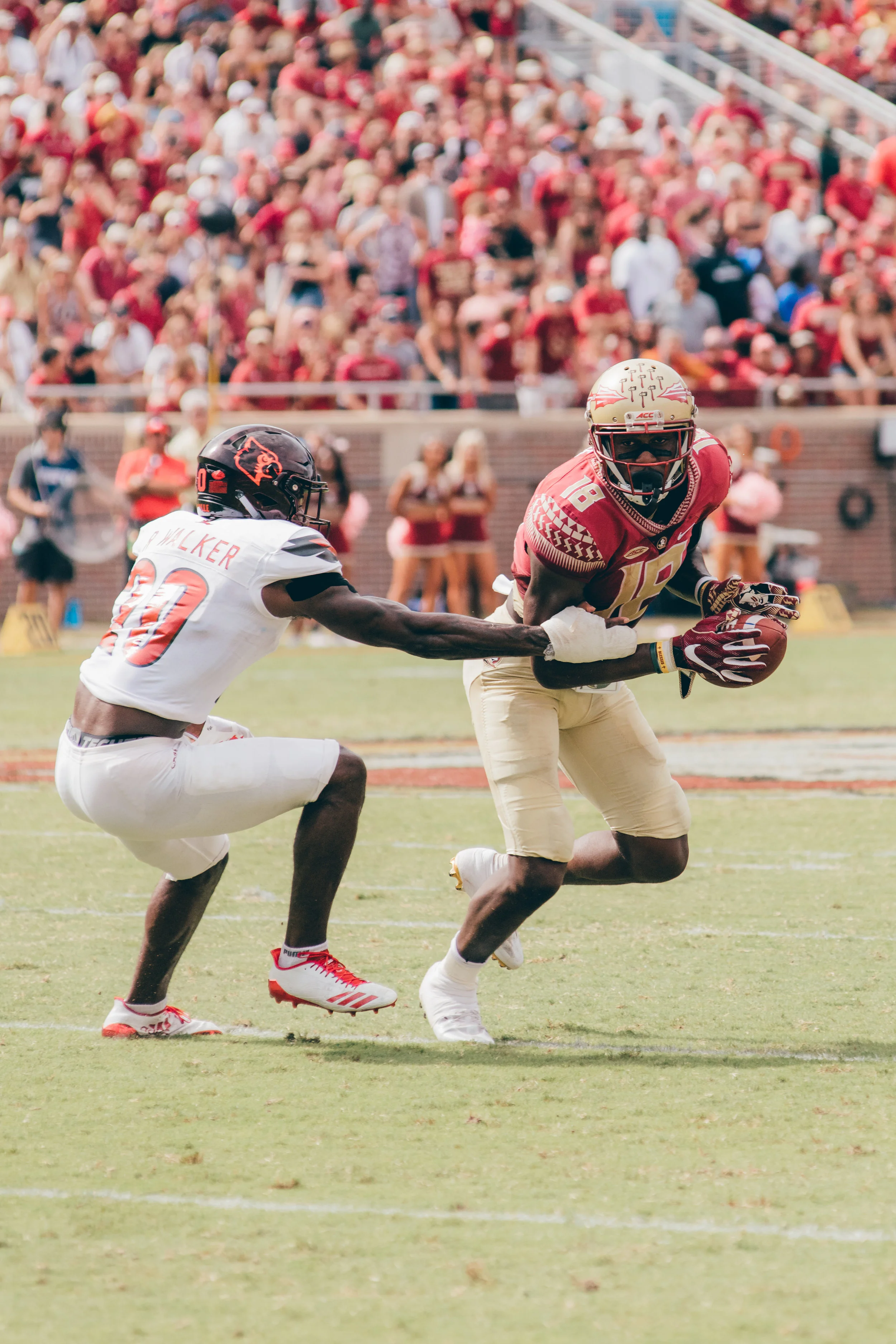 Sports.Football Photos.Tolchin Photo_013.jpg