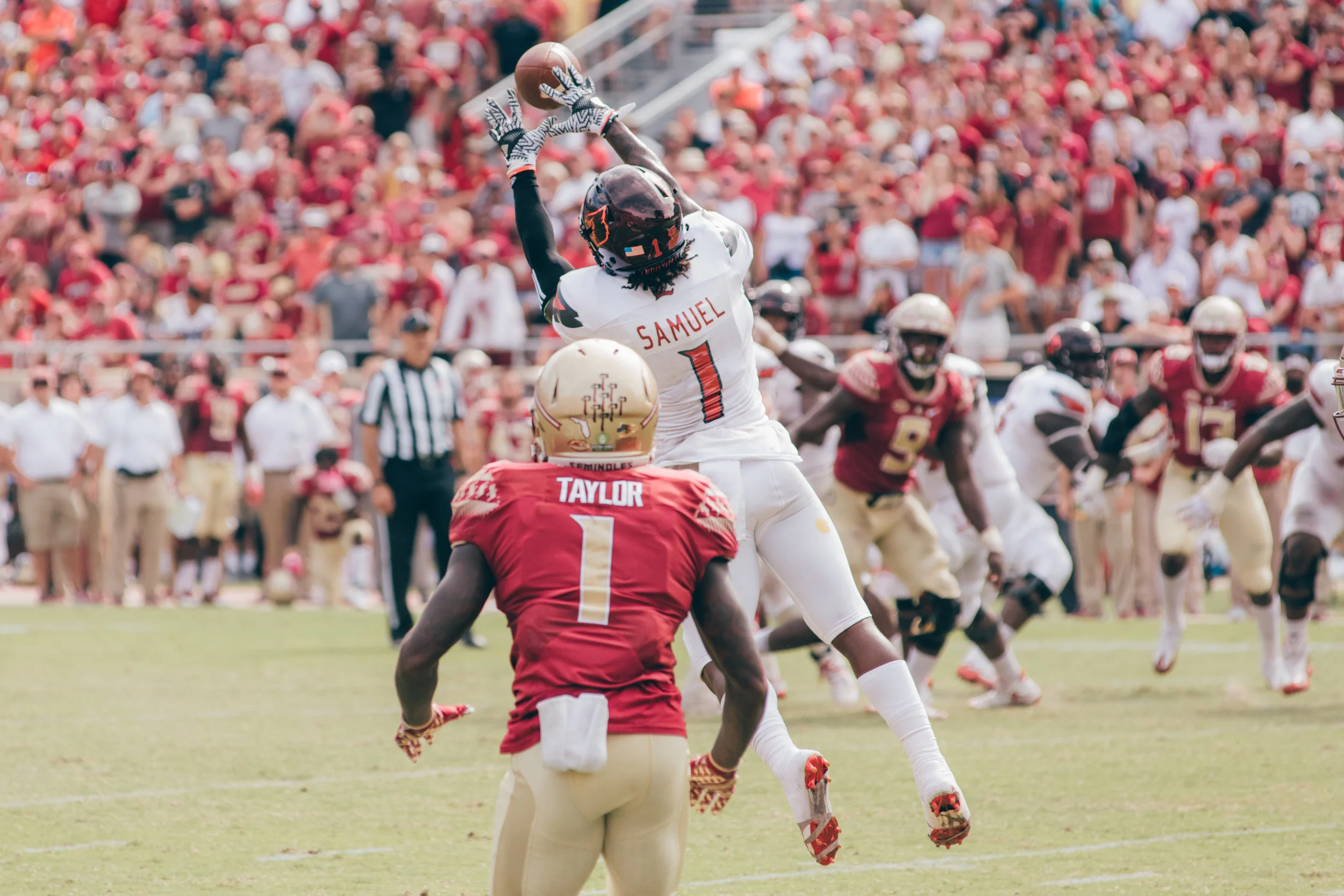 Sports.Football Photos.Tolchin Photo_019.jpg