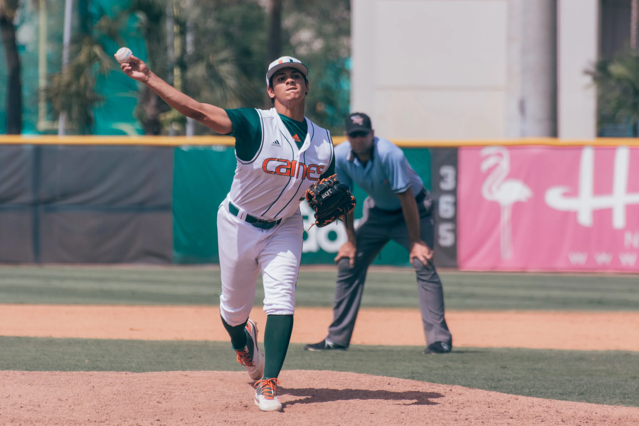 Sports.Baseball Photos.Tolchin Photo_011.jpg