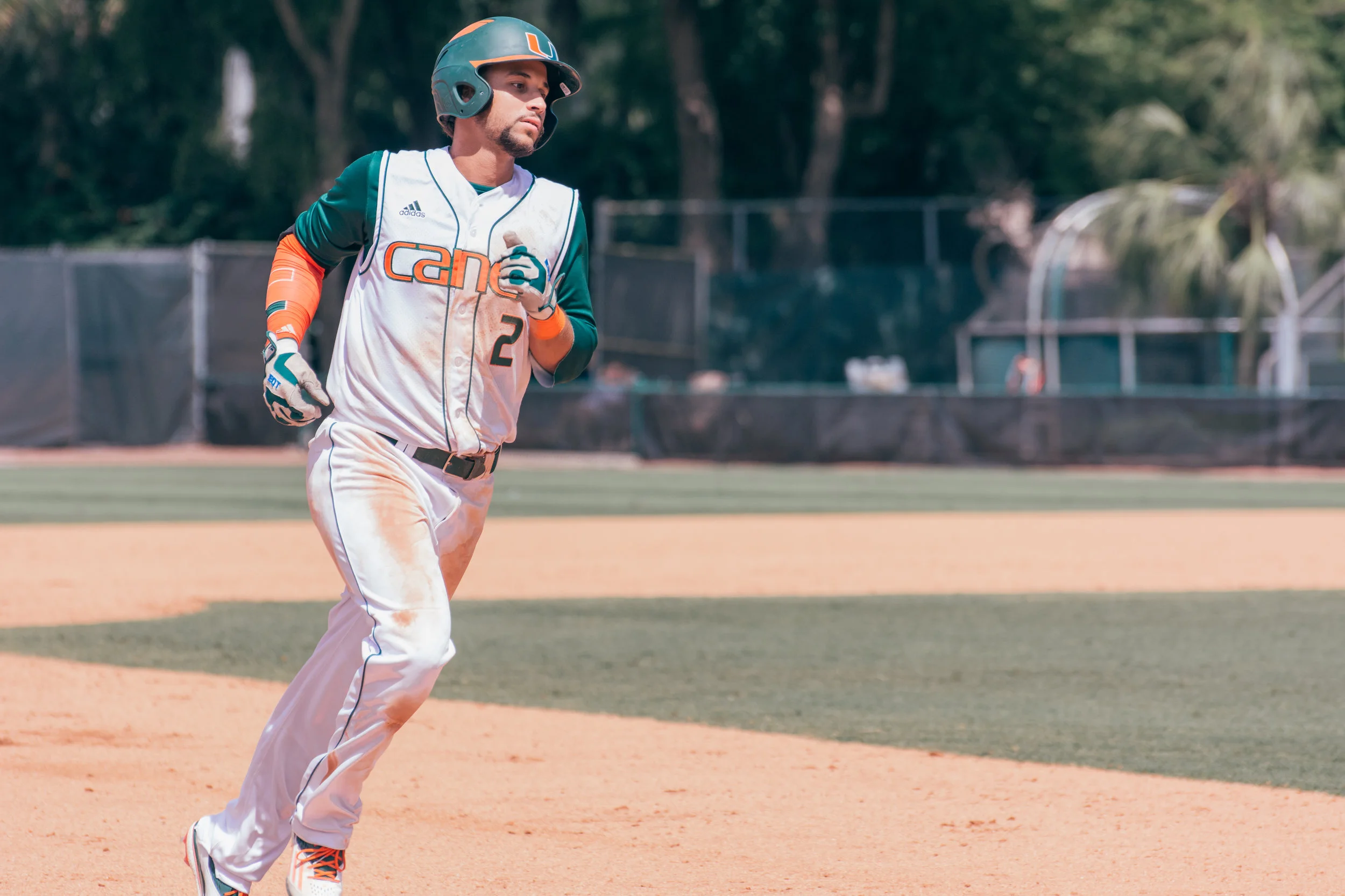 Sports.Baseball Photos.Tolchin Photo_007.jpg