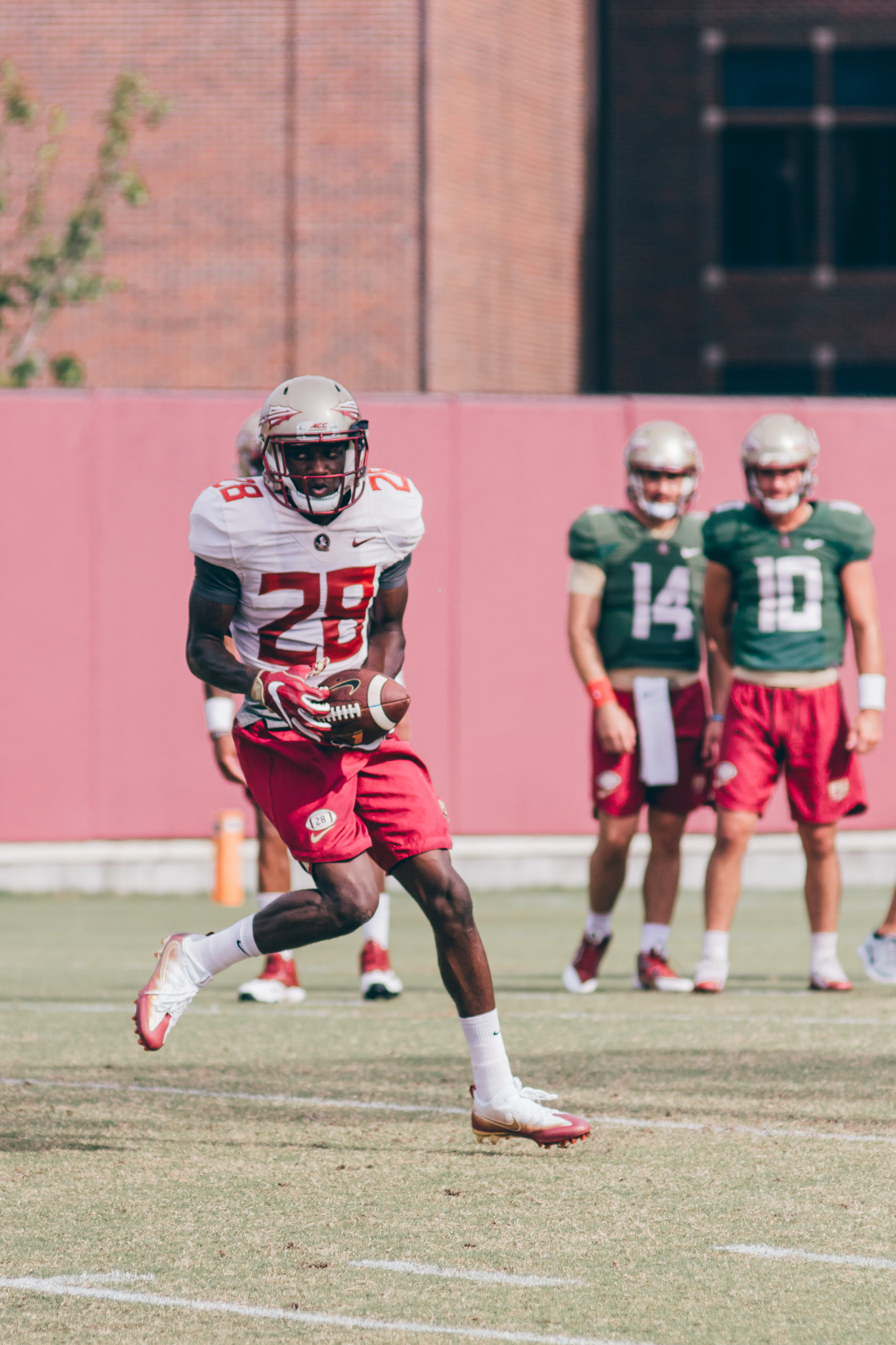 Sports.Football Photos.Tolchin Photo_027.jpg