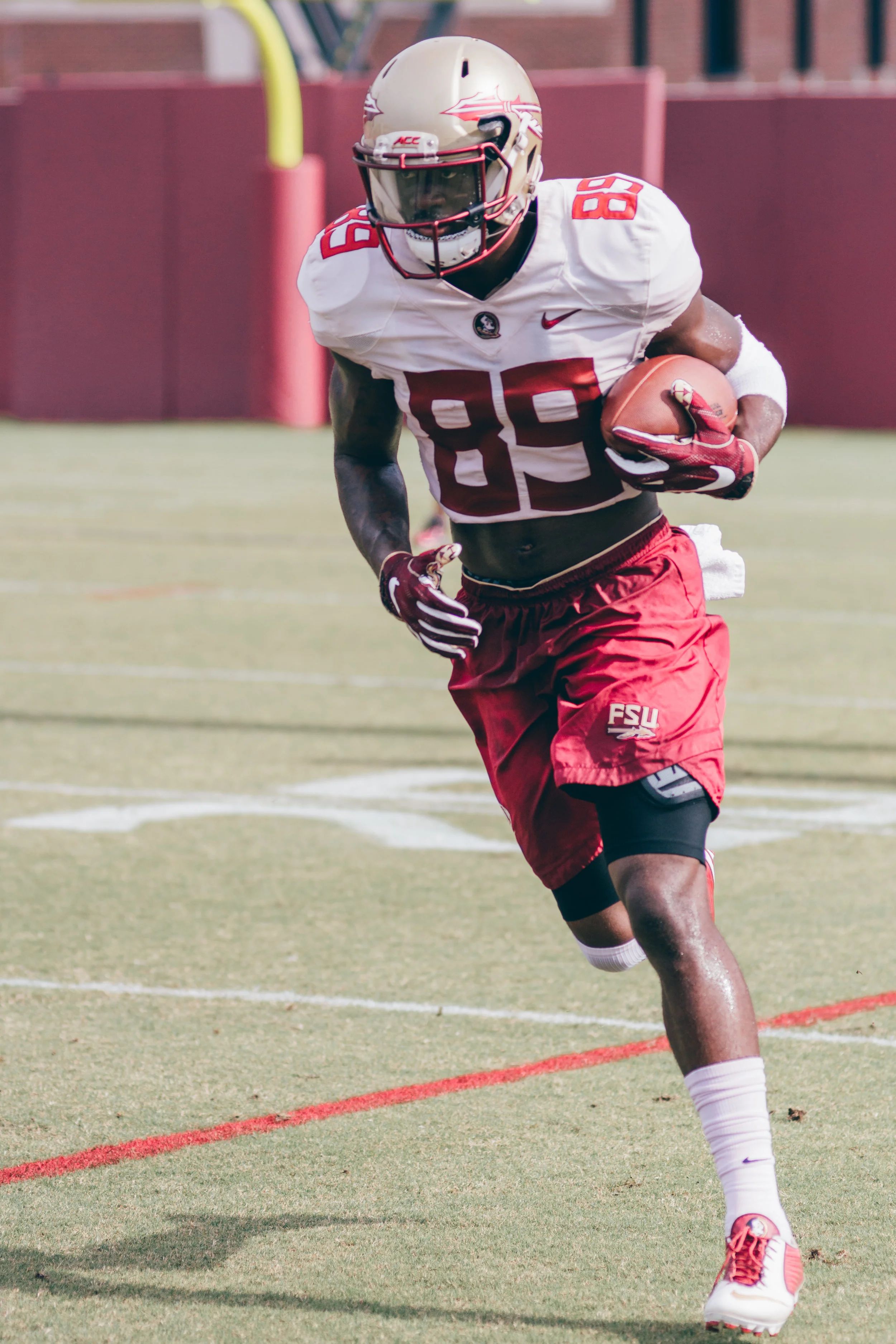 Sports.Football Photos.Tolchin Photo_028.jpg