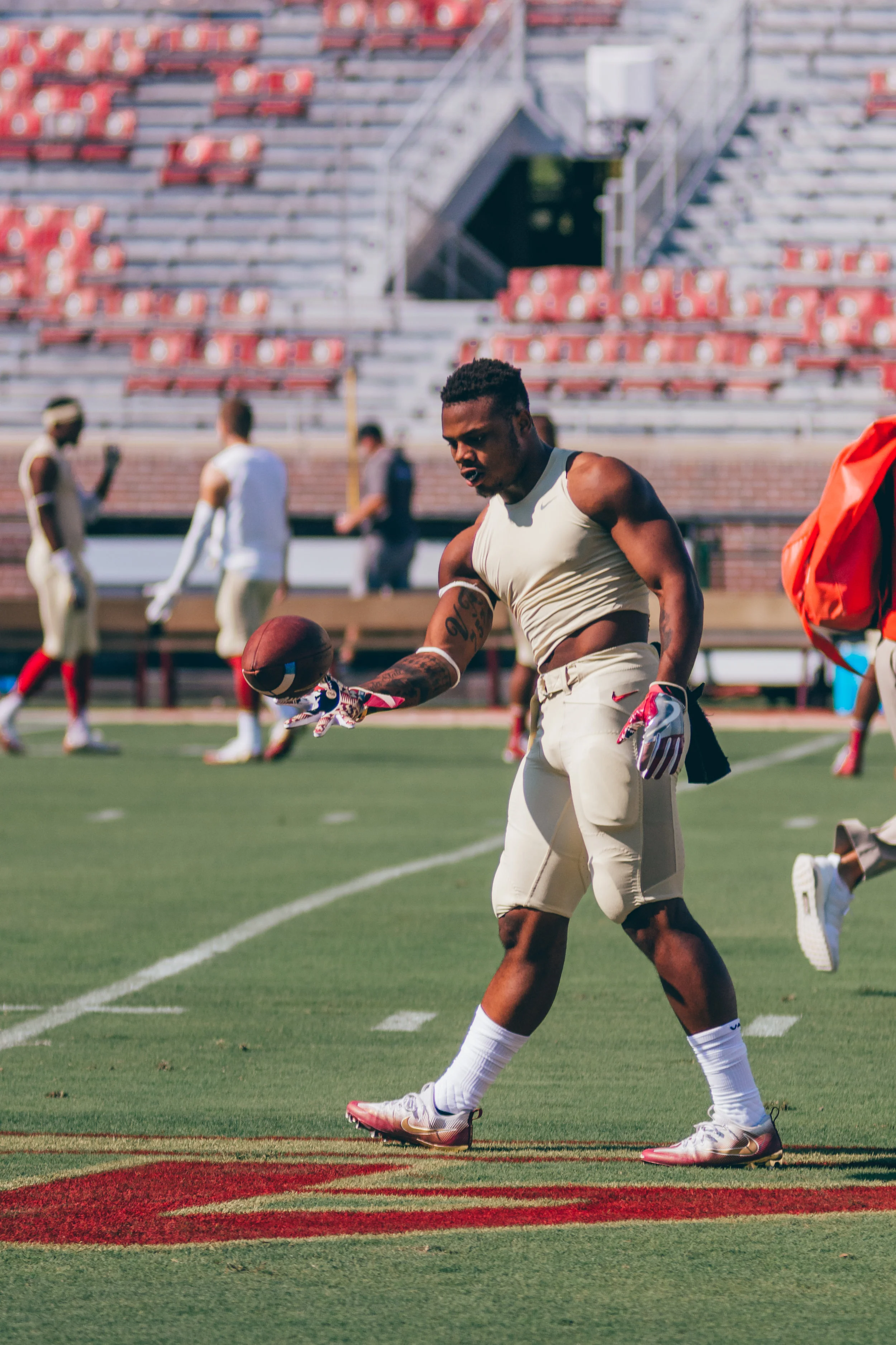 Sports.Football Photos.Tolchin Photo_044.jpg