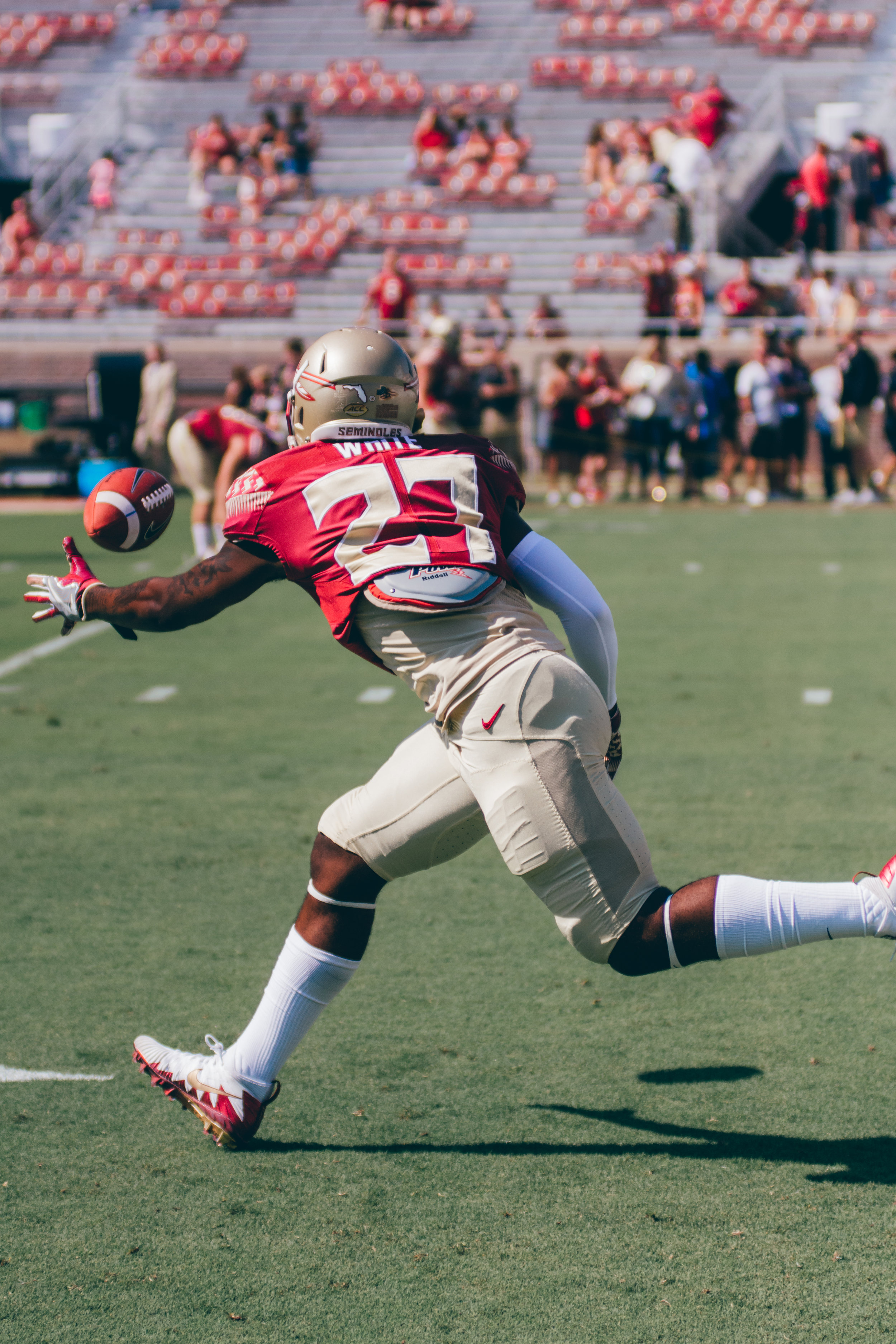 Sports.Football Photos.Tolchin Photo_050.jpg